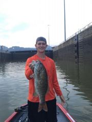 Another Kanawha river small