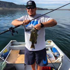 2/28/2016 - 1.5lbs Small Mouth - 3:16 Soft Gill