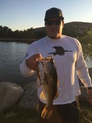 6.23.2016 - 2lbs - FS Shad Floater - Gizzard Shad - 7:25pm