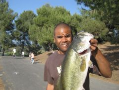 Hudd Fish Los Angeles County