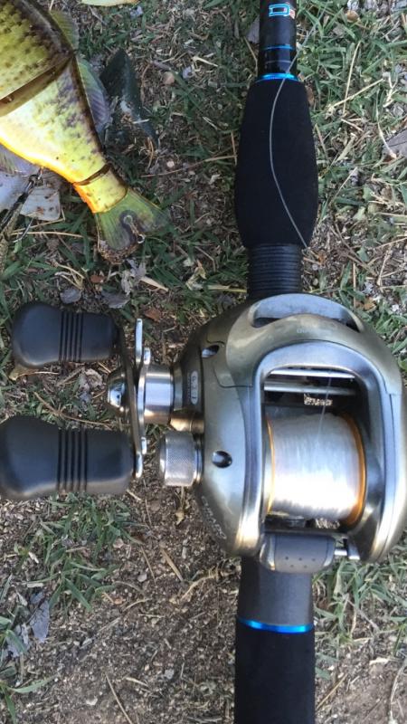 best price for shimano speedmaster 4 reel Shimano SPM20II Speedmaster II Lever Drag Reel