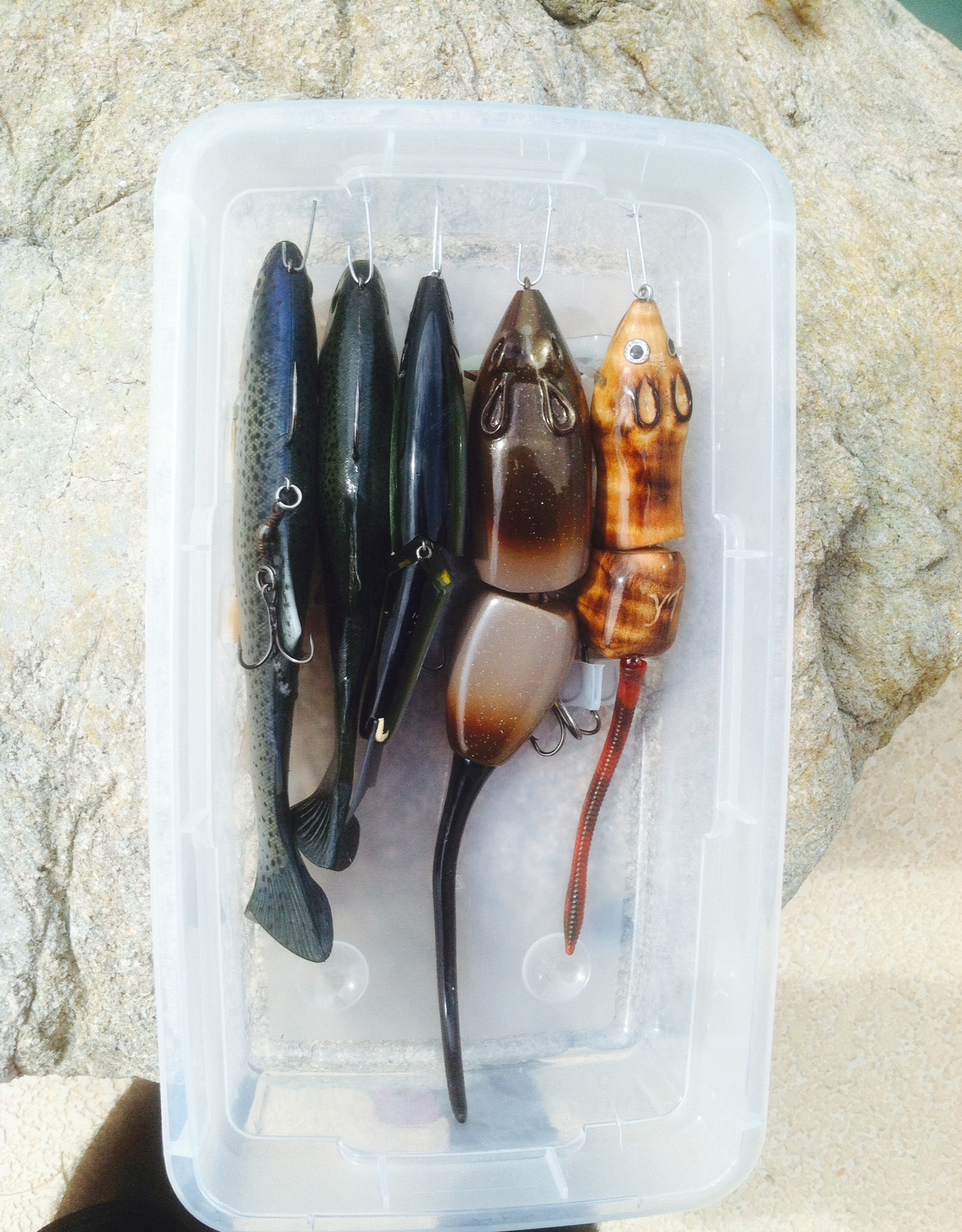 Storage Solution for Paddle Tail Swim Bait Blister Packs - Page 2 - Fishing  Tackle - Bass Fishing Forums