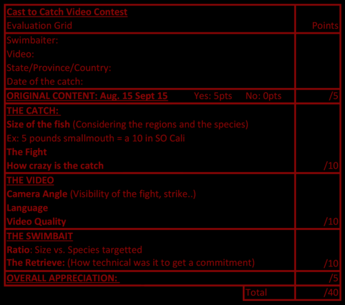 Cast+to+cach+video+contest+evaluation+grid.png