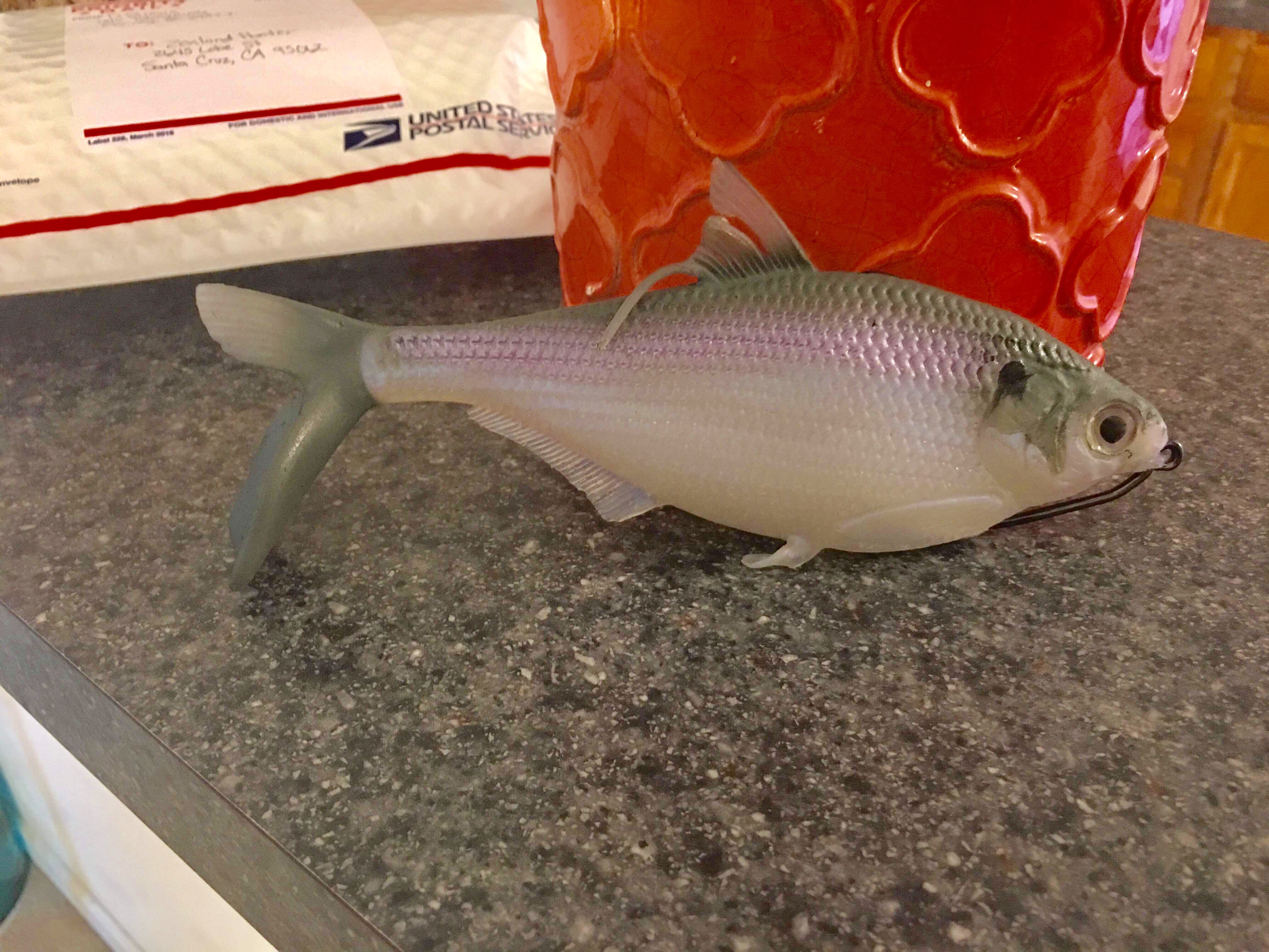 bamf shad swimbait