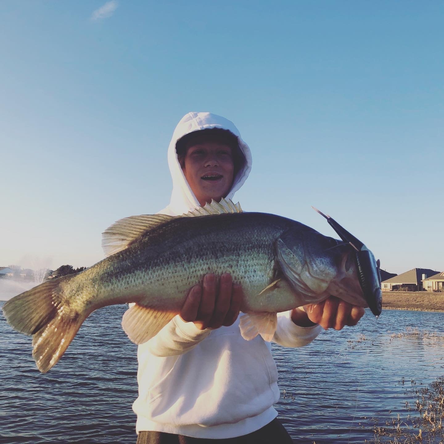 PB Largemouth on Swimbait - PB - Swimbait Underground