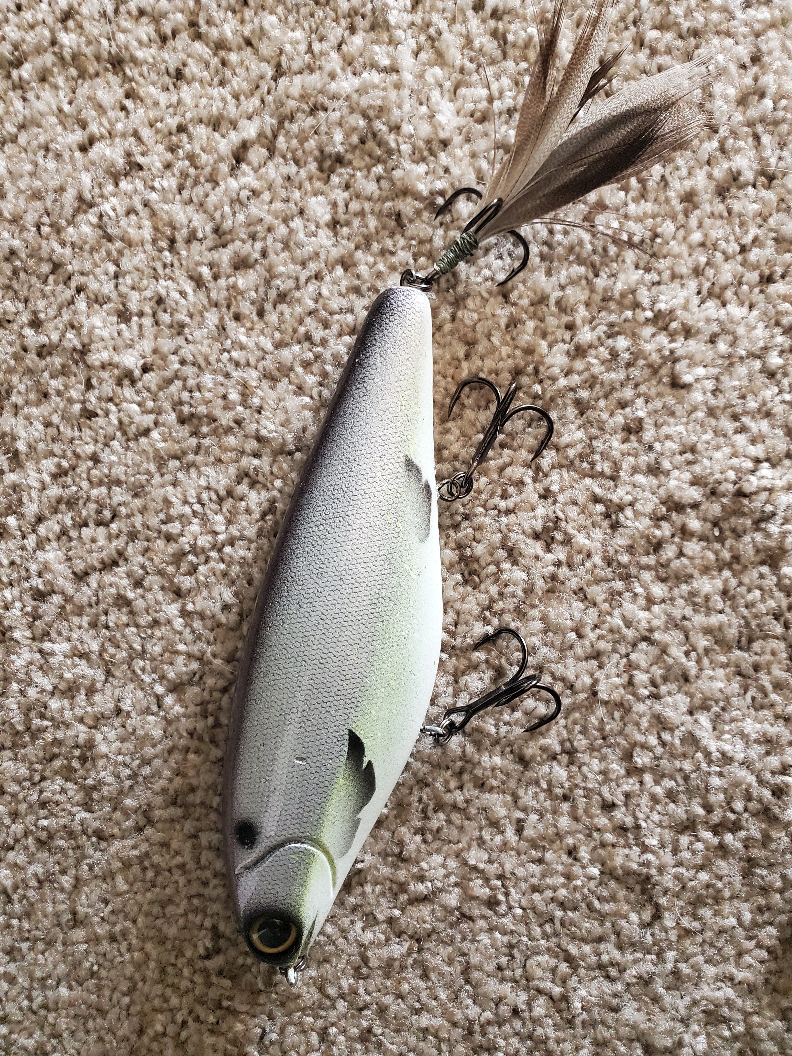 bamf shad swimbait