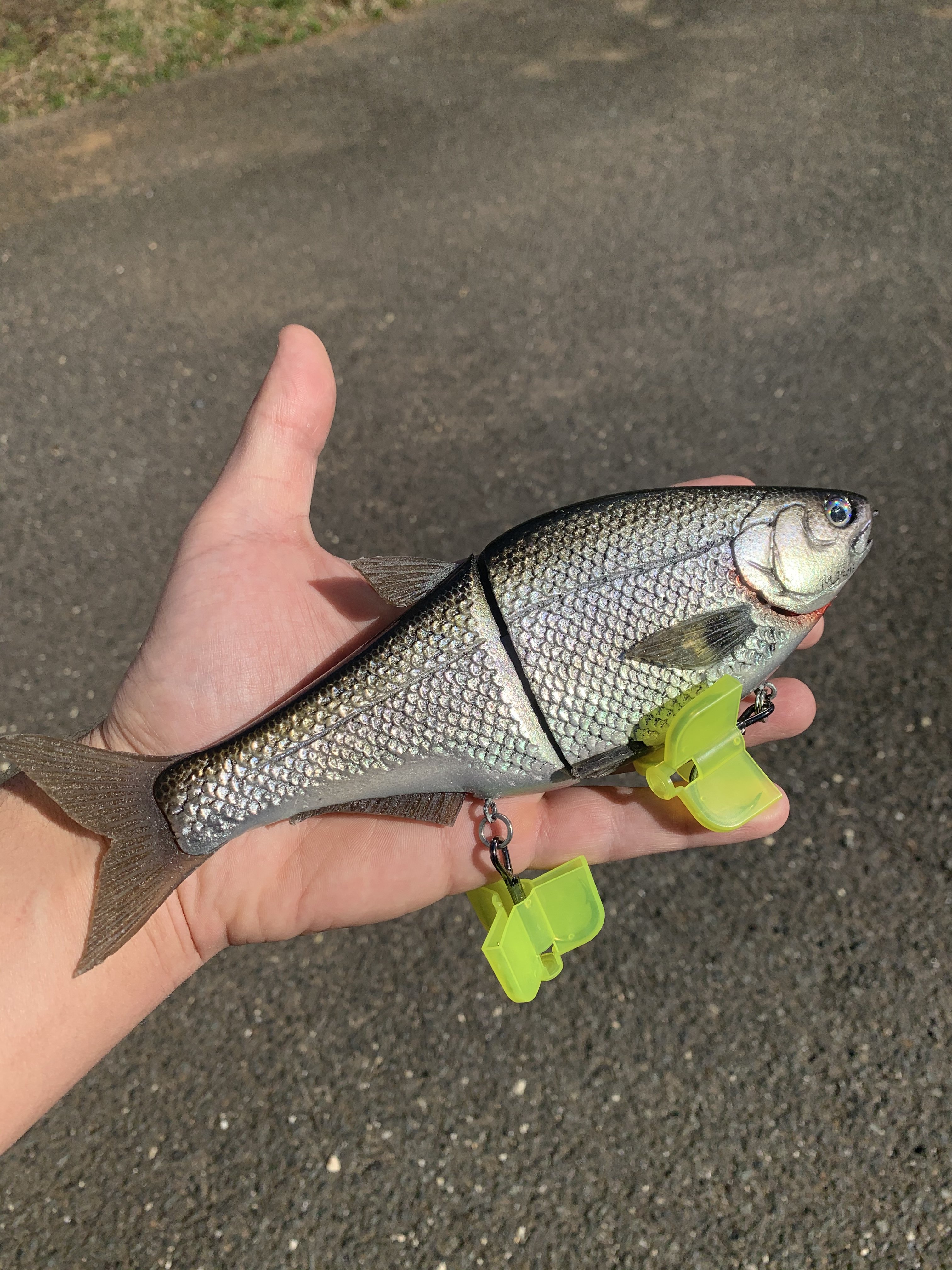 Hinkle shad - Black Market - Swimbait Underground