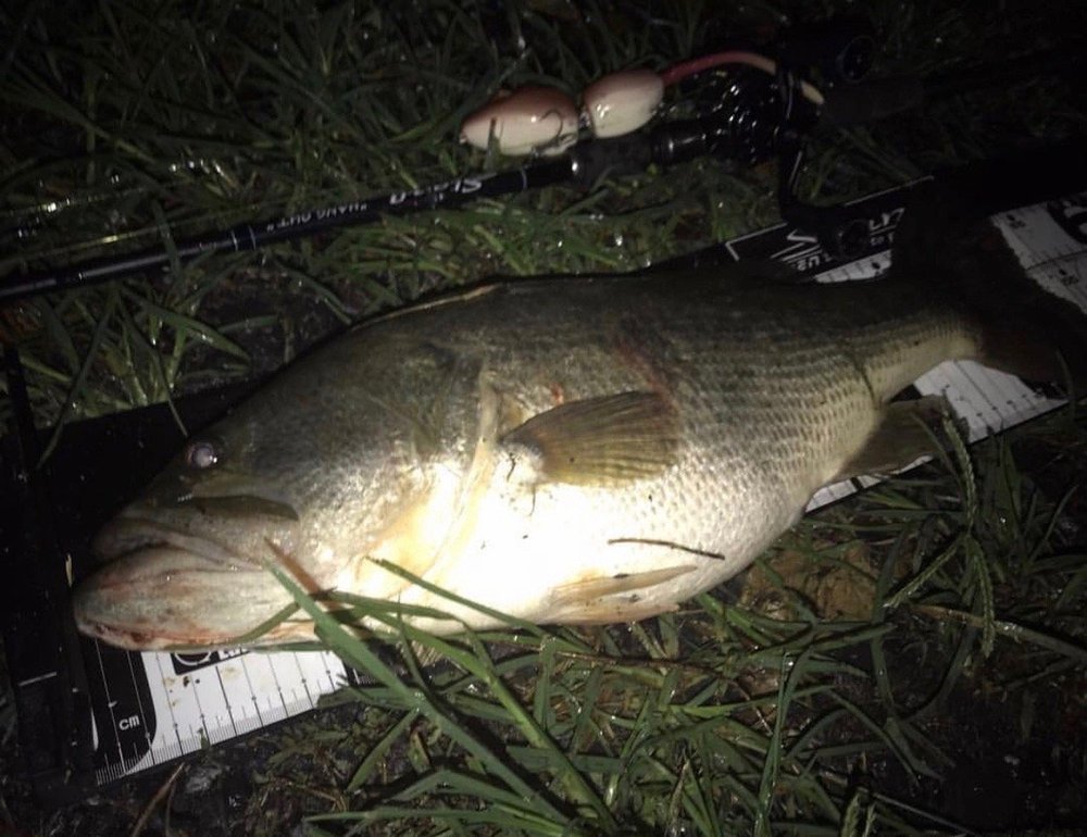 Another Solid 4lber On KGB - PB - Swimbait Underground