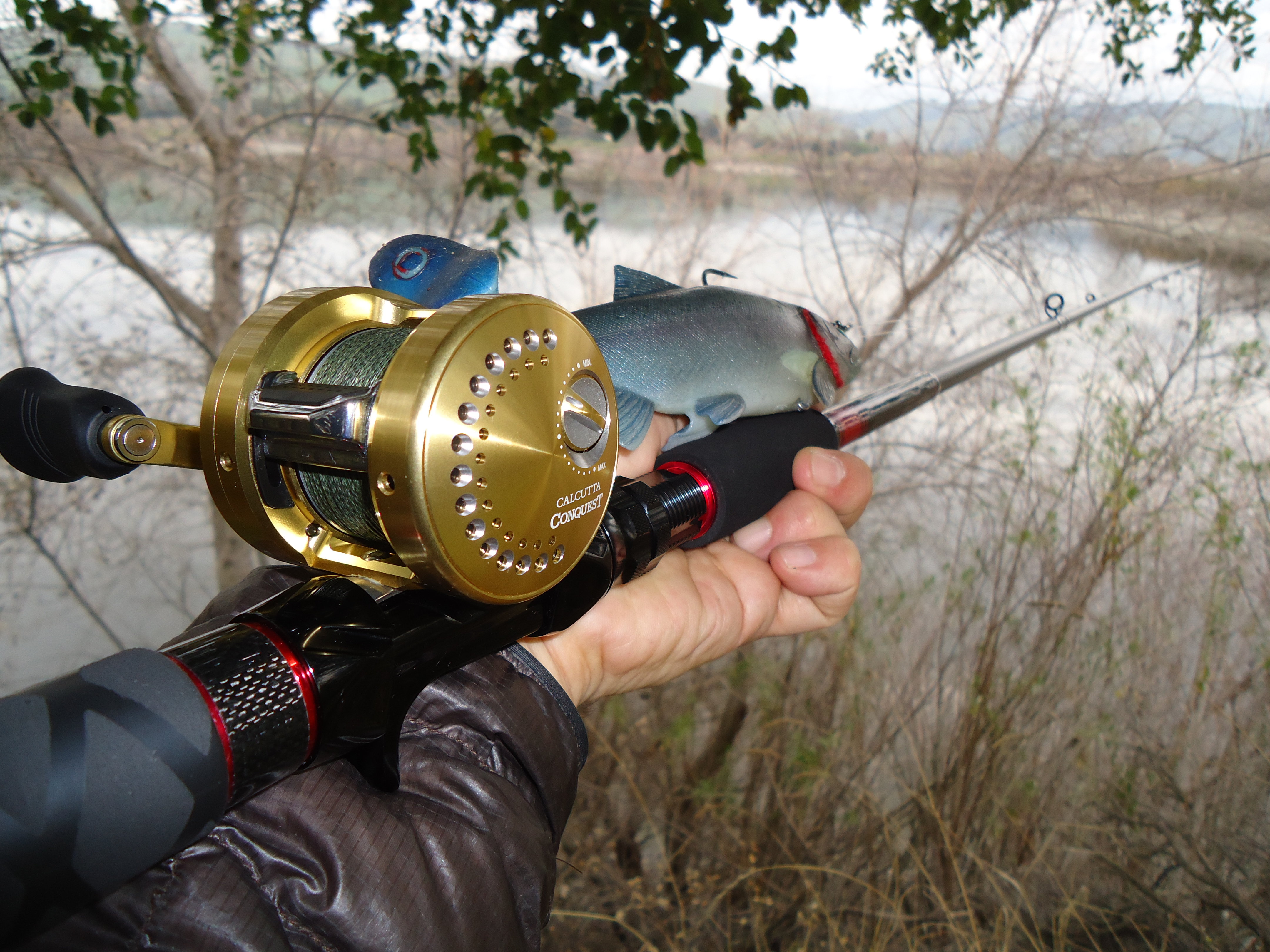 LDC rods? - The Underground - Swimbait Underground