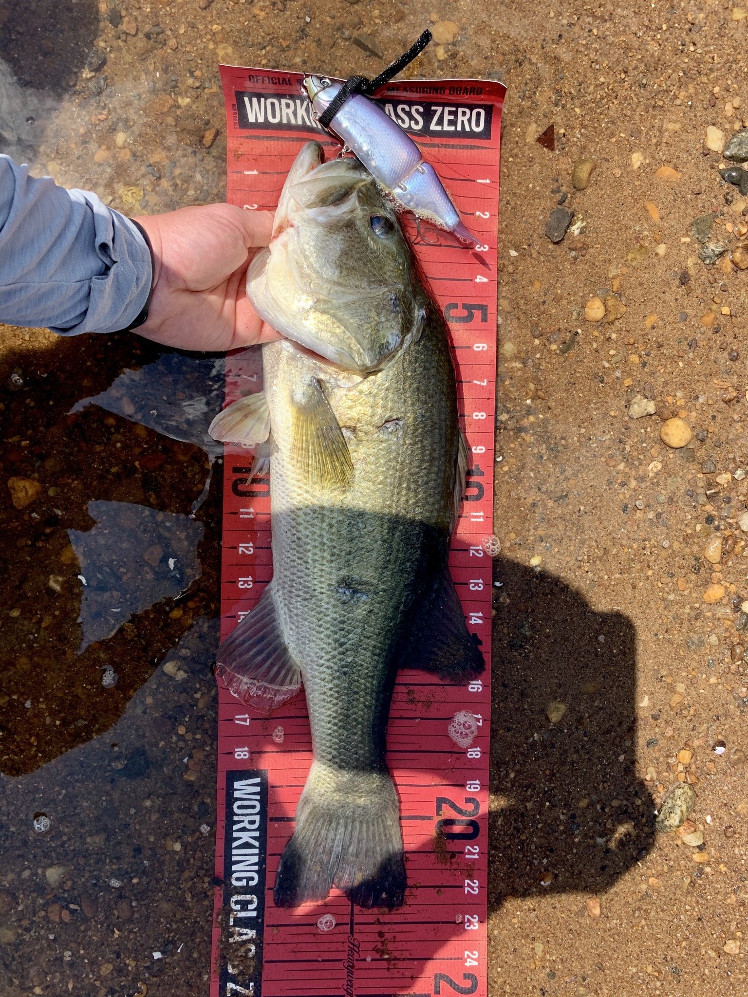 River Drt Tk Fish Got Em Swimbait Underground