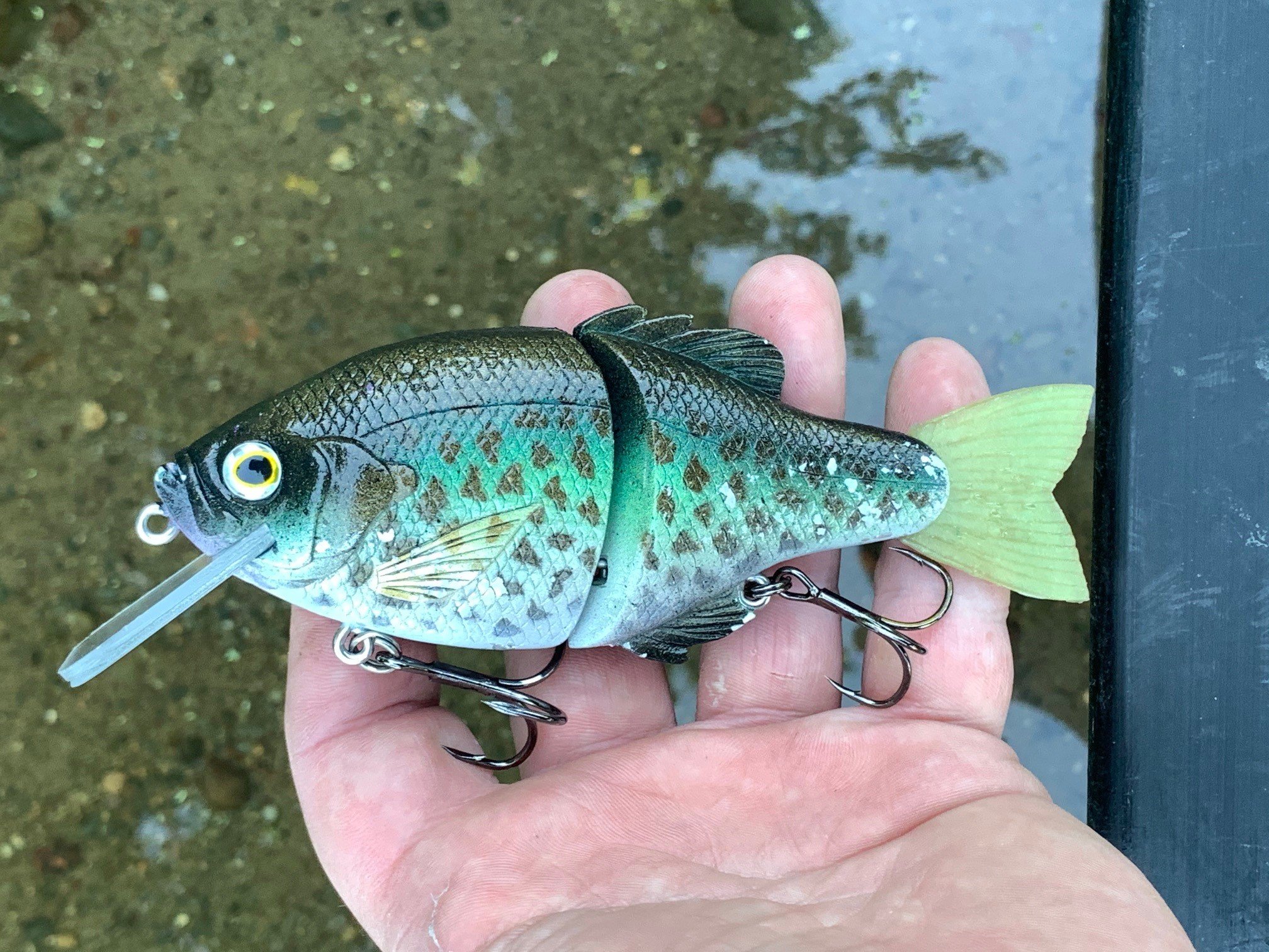 Lil Piggy Crusher Gill Crankdown Testing - Got'em - Swimbait Underground