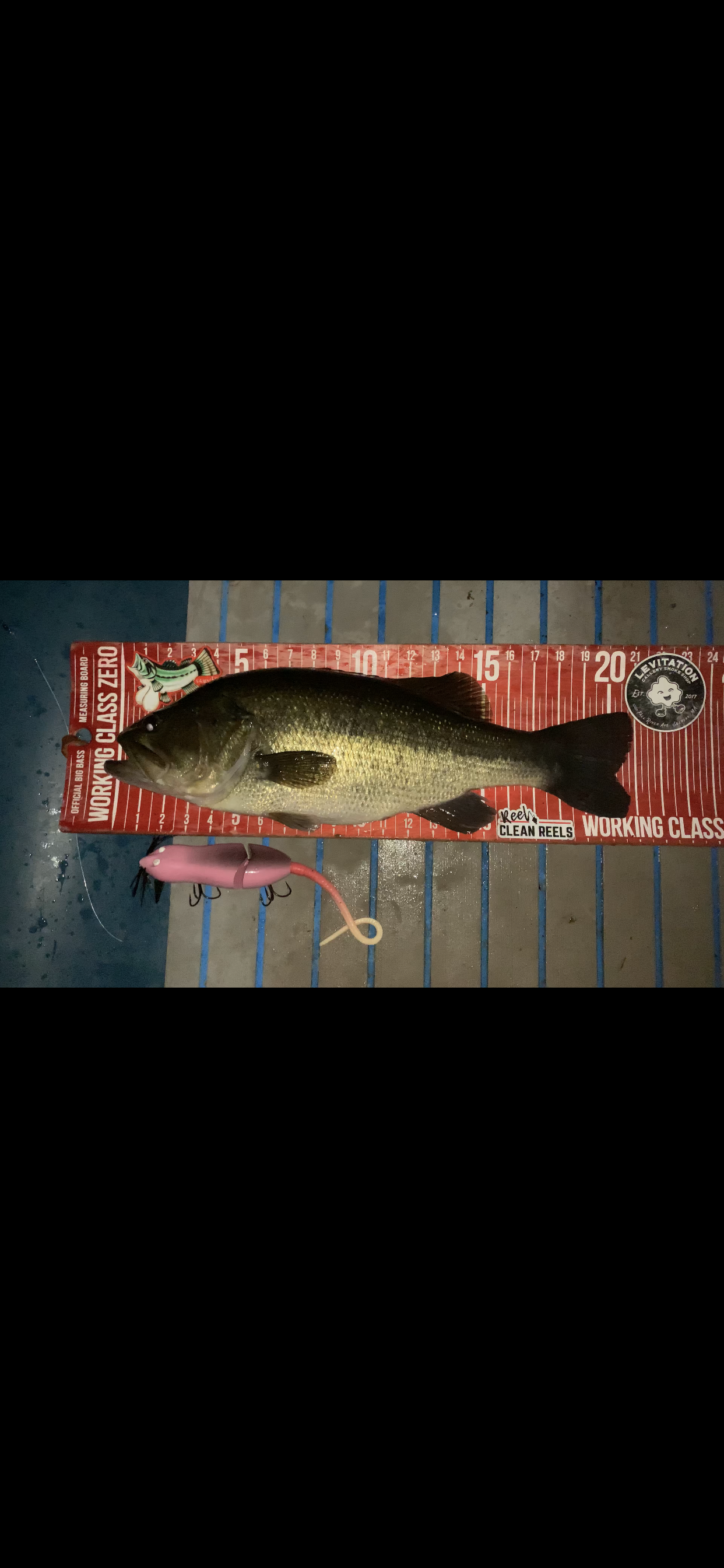 chefchris's Content - Page 120 - Swimbait Underground