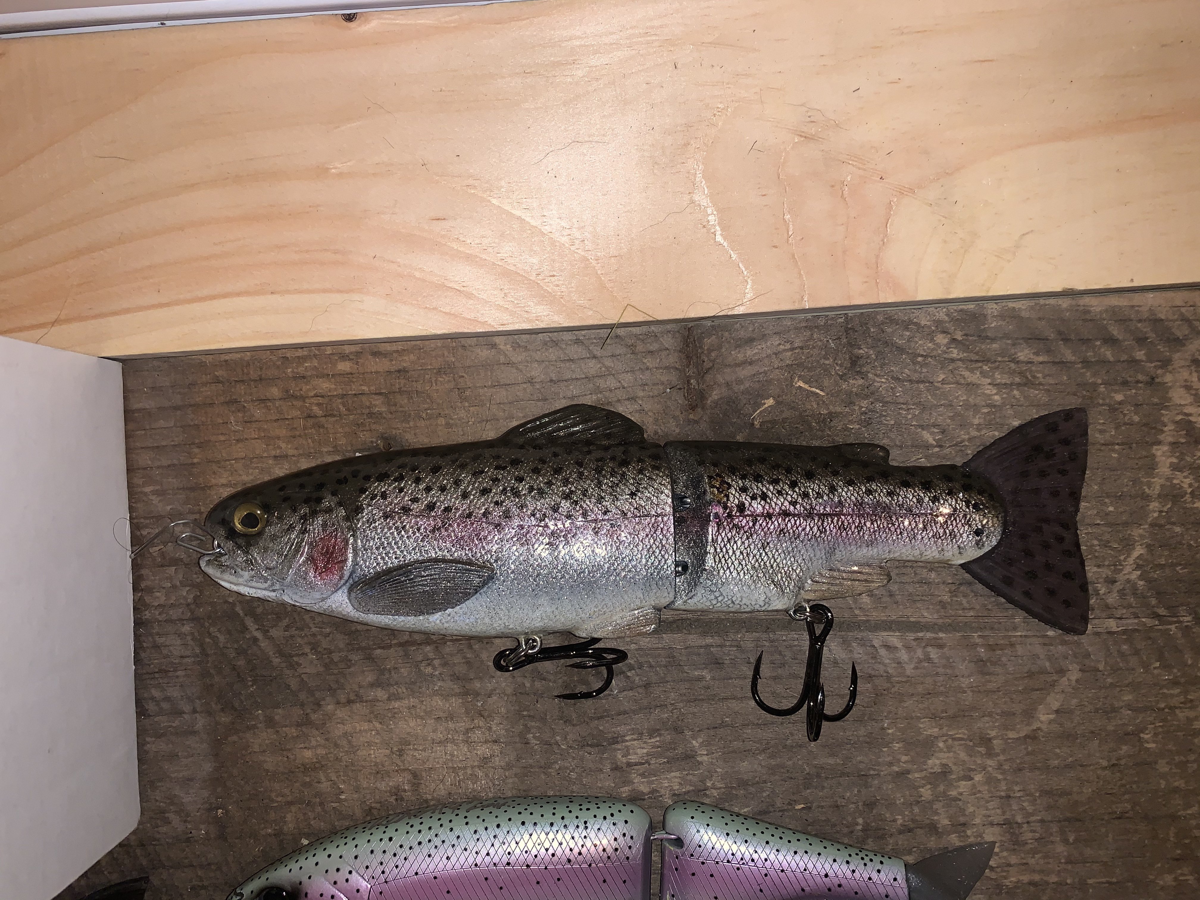 Hinkle Trout, Blank Hinkle Trout, Matt Surface Glide Trout, and