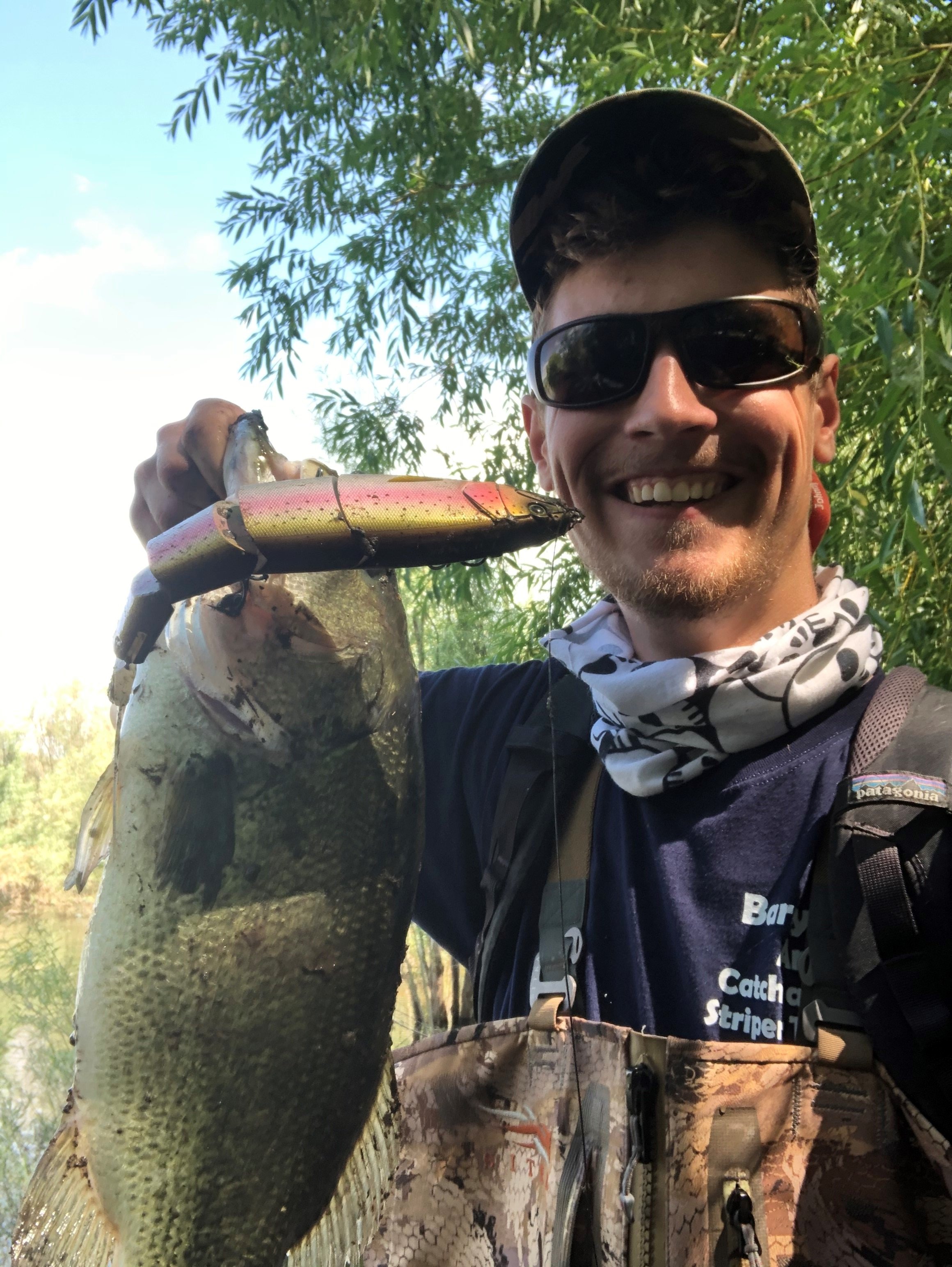 Pike fishing with swimbait, the different versions of the Balam