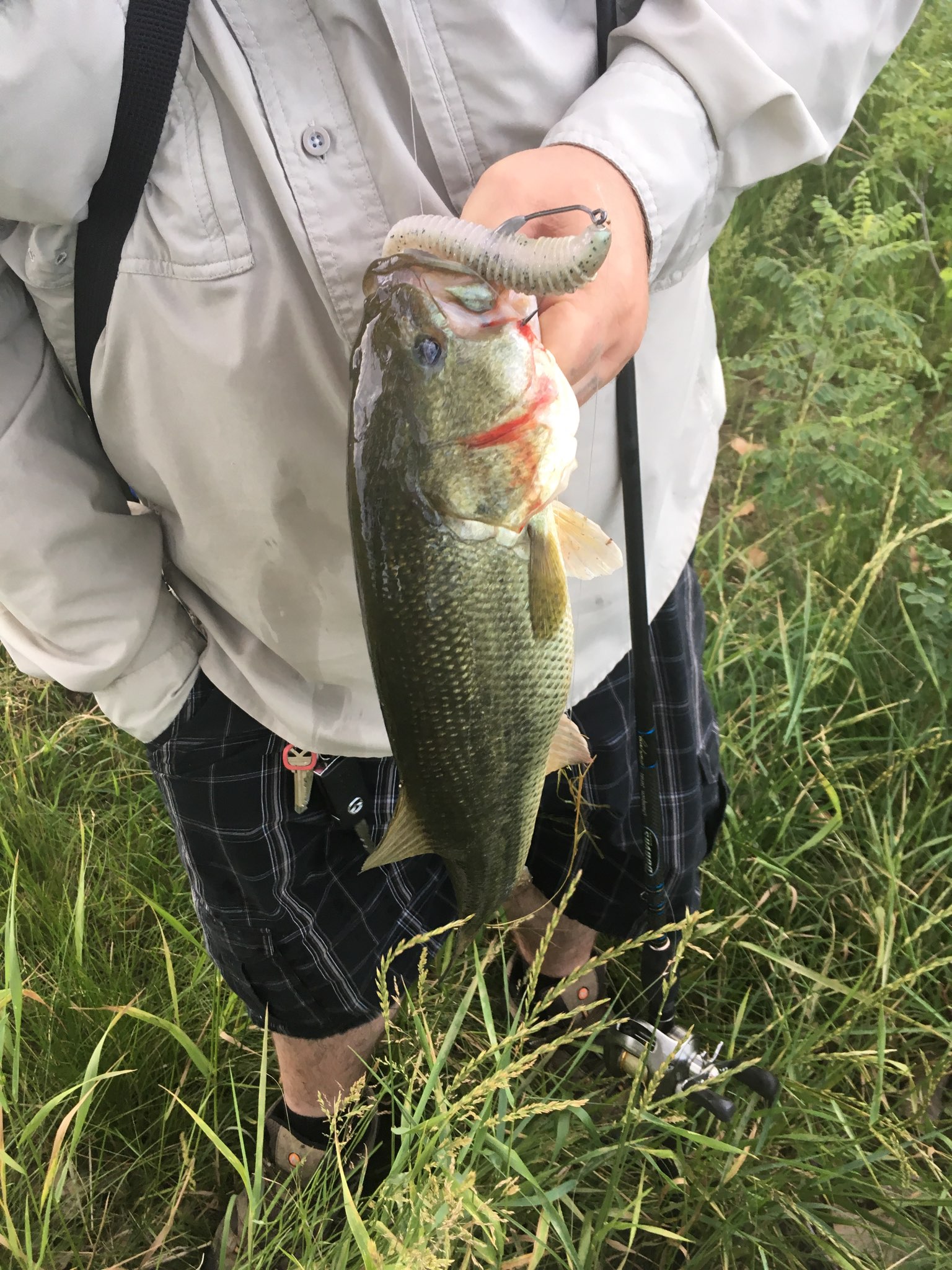 Does anyone throw 7.8 inch keitechs for big bass? - The