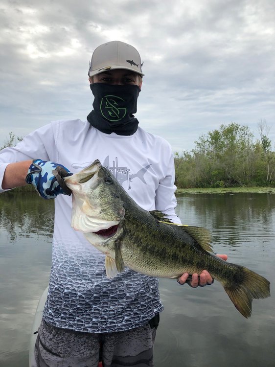 FWC Tagged Bass (Profile Pic) - small size.jpg