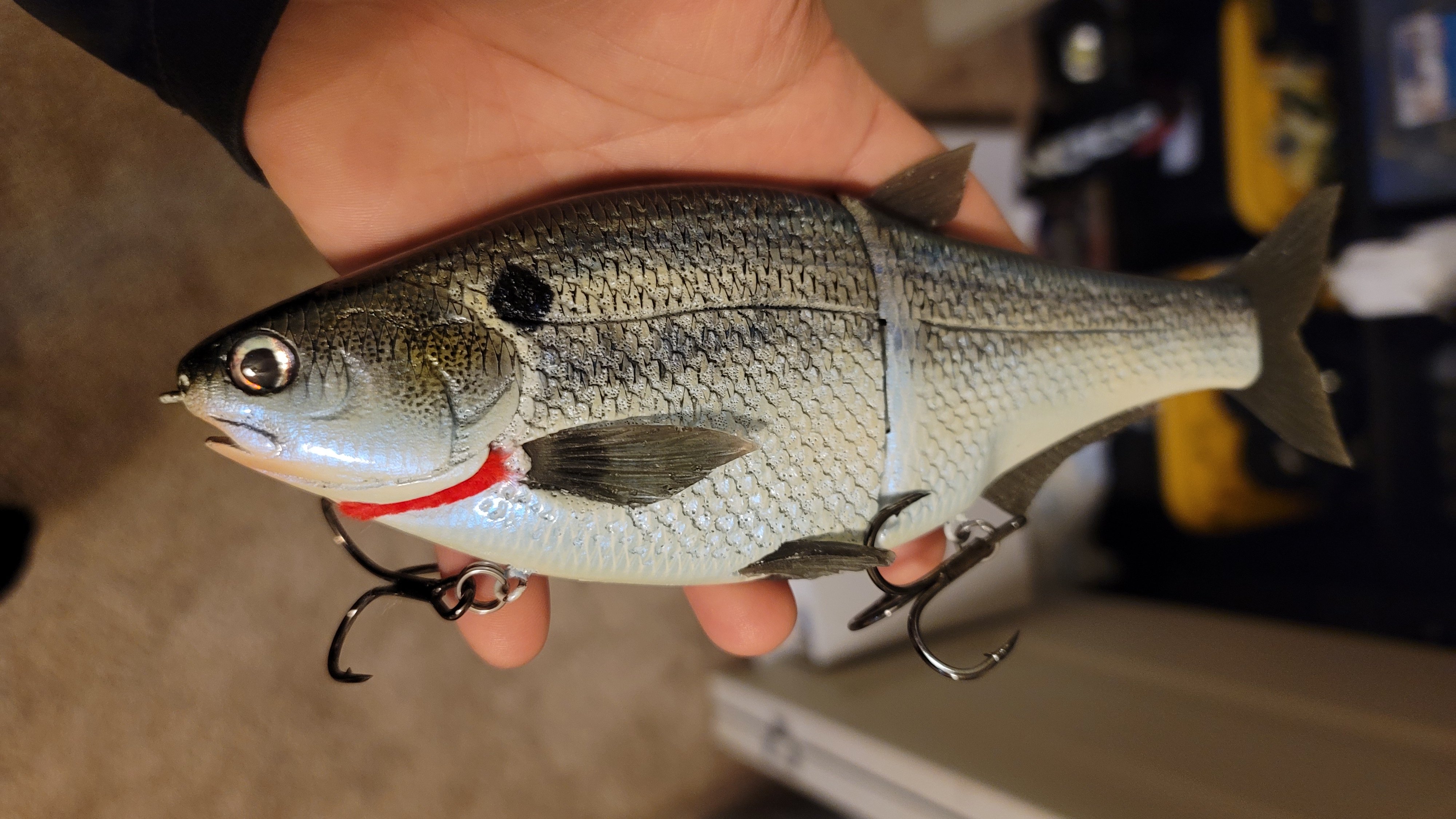 Tube Fishing Trout Area Hankle Shad Bone 65SR : Sports &  Outdoors