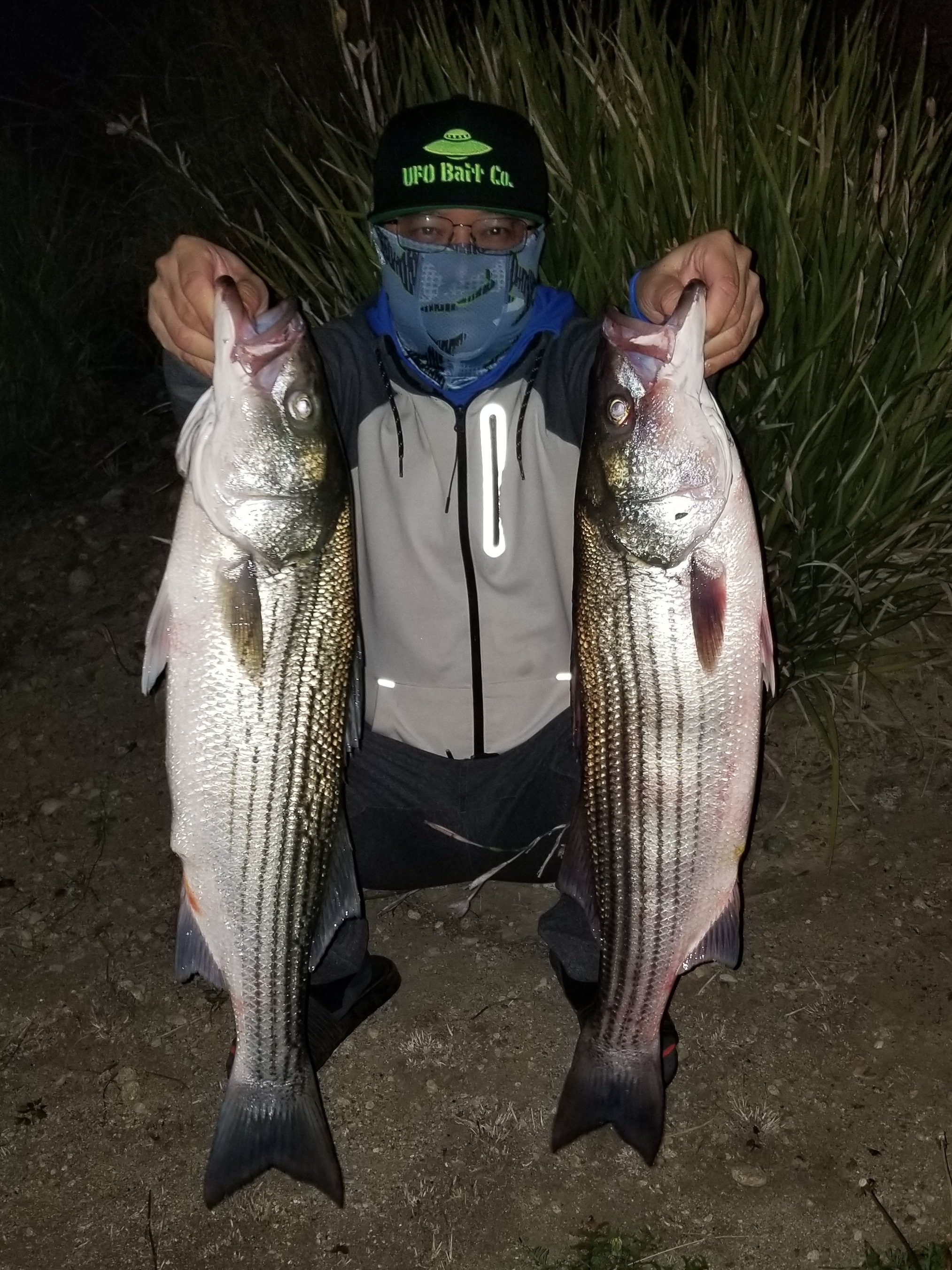 Big Grandpa Gets me 2 Stripes - Flipside - Swimbait Underground