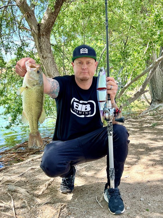 Show Off Your Swimbait Setup - Page 47 - The Underground