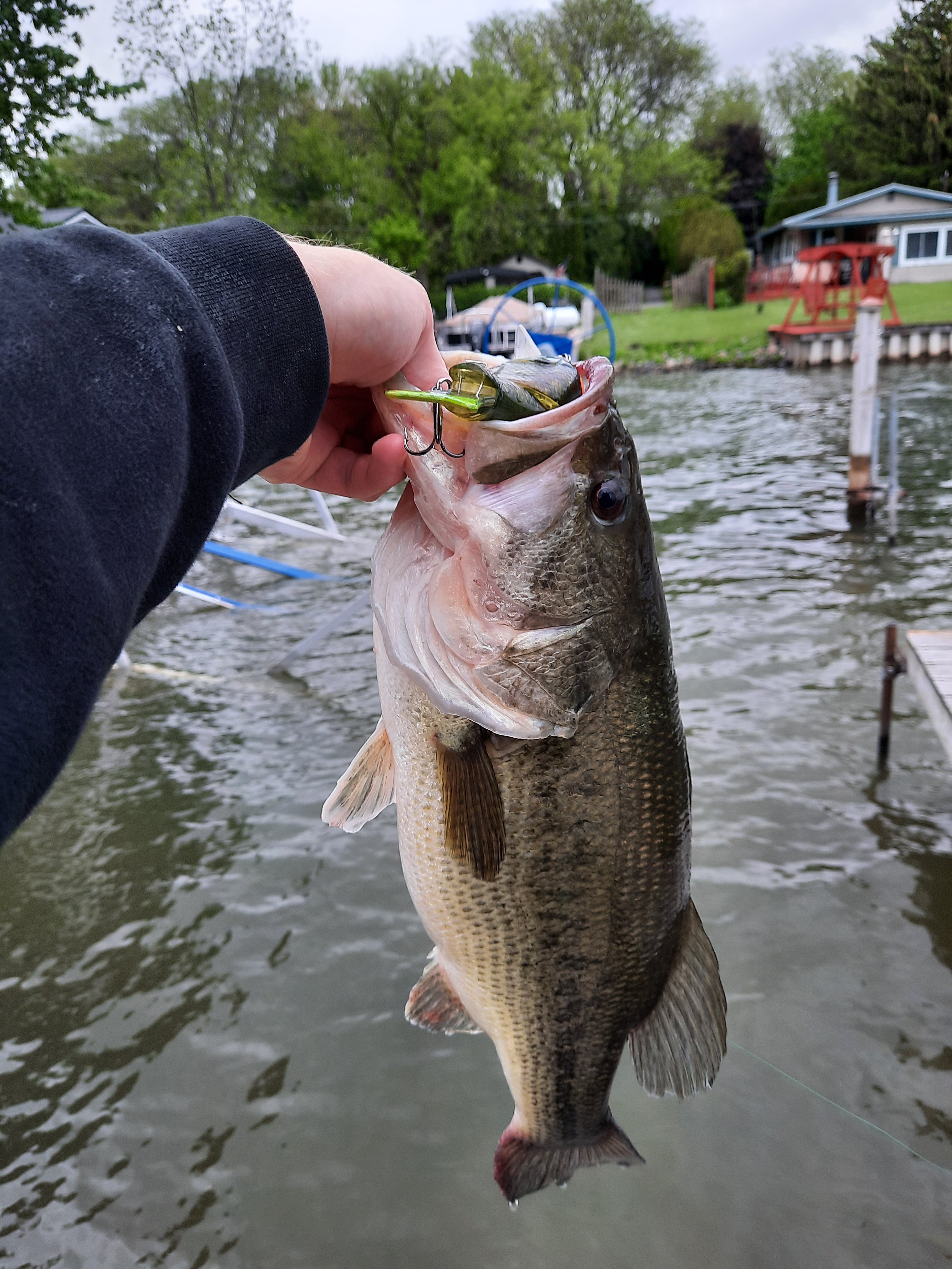 Post Ftontal G2 Fish - Got'em - Swimbait Underground