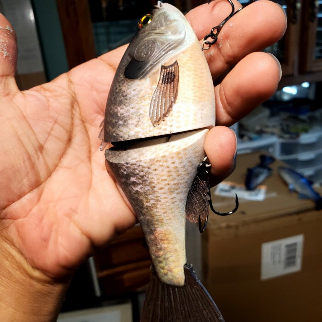 bucca shad