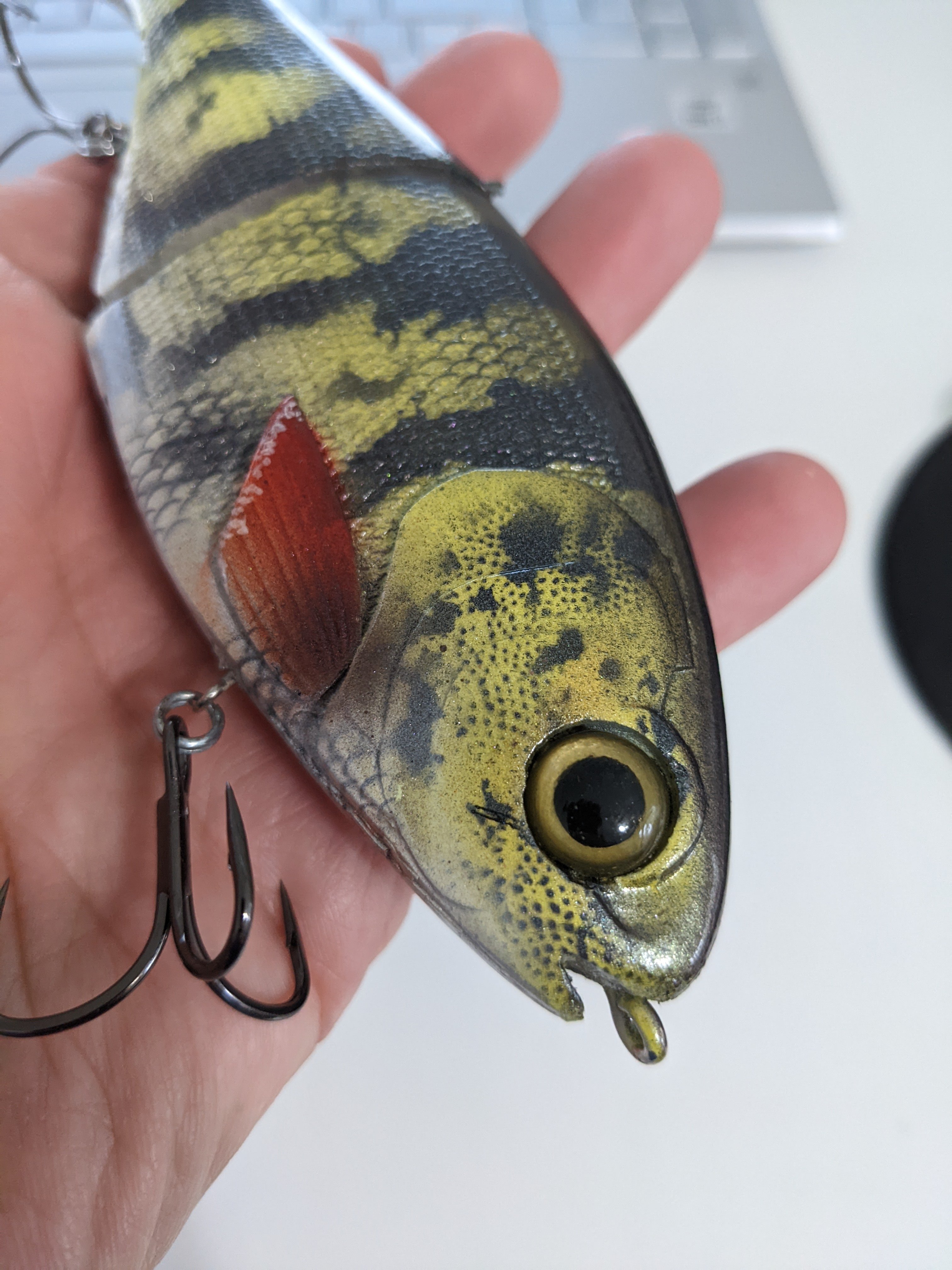 bucca shad