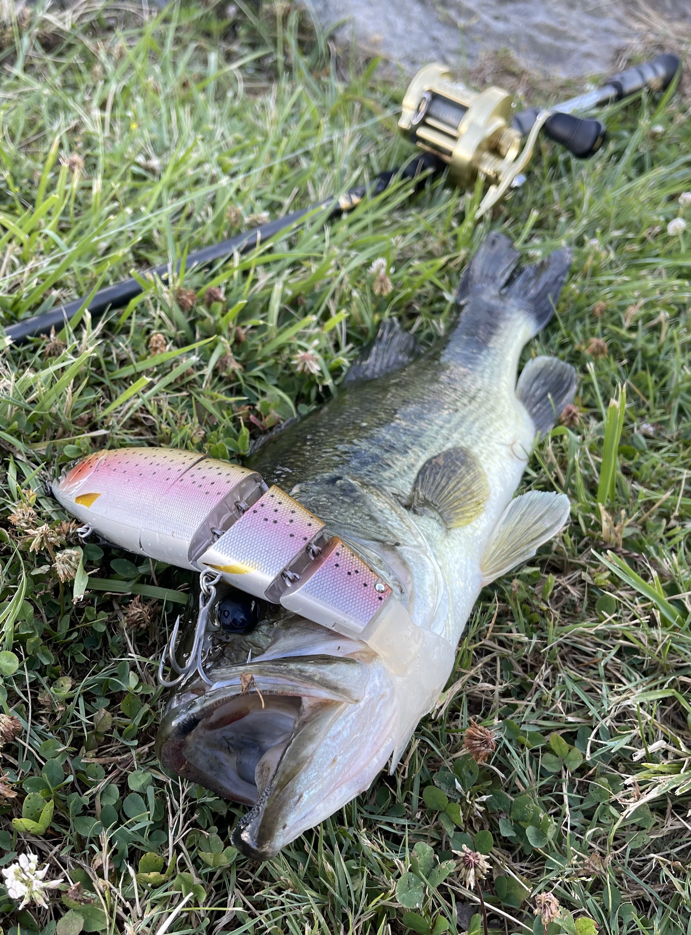 Balam 245 Floater - Got'em - Swimbait Underground