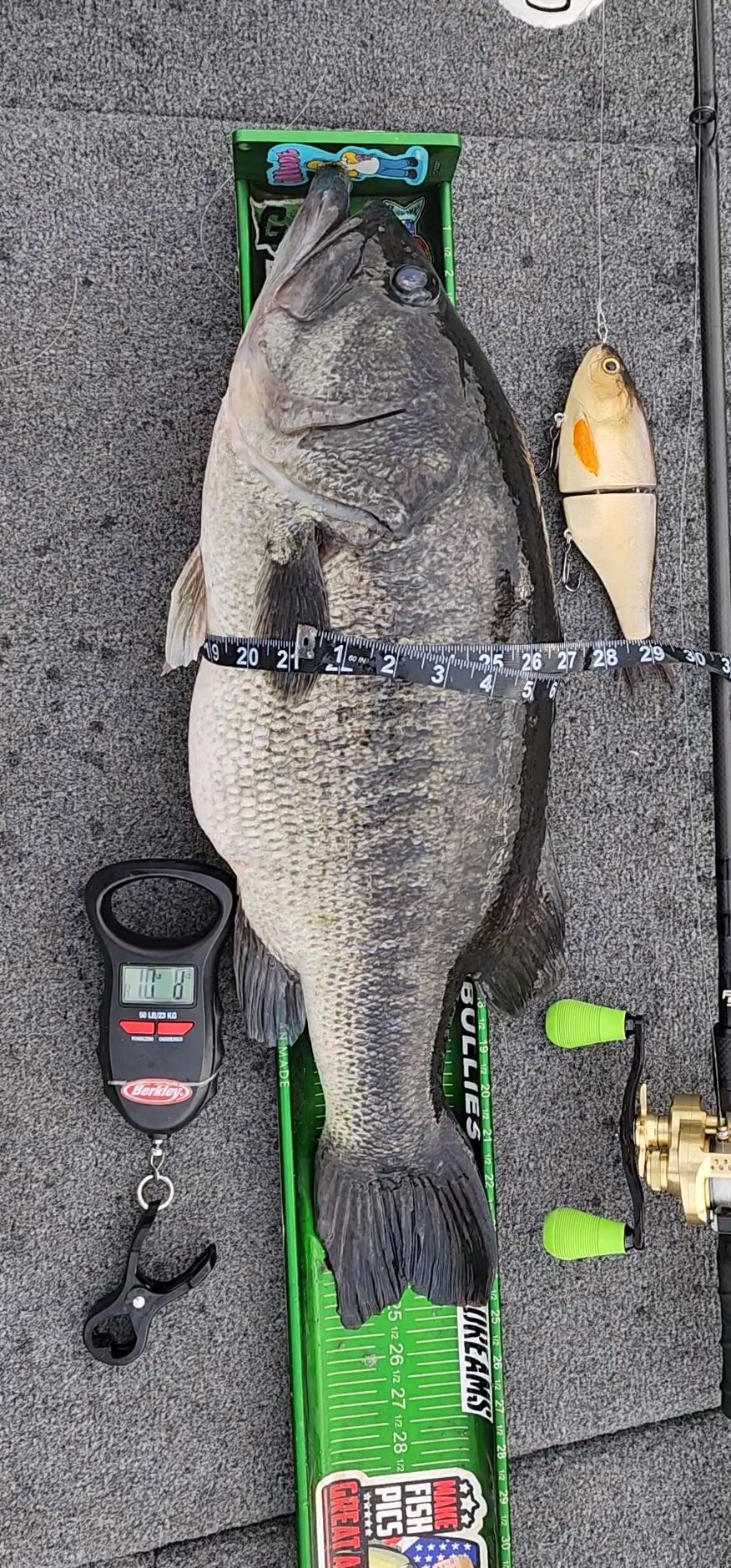 What scale should I buy, with lip gripper? - The Underground - Swimbait  Underground