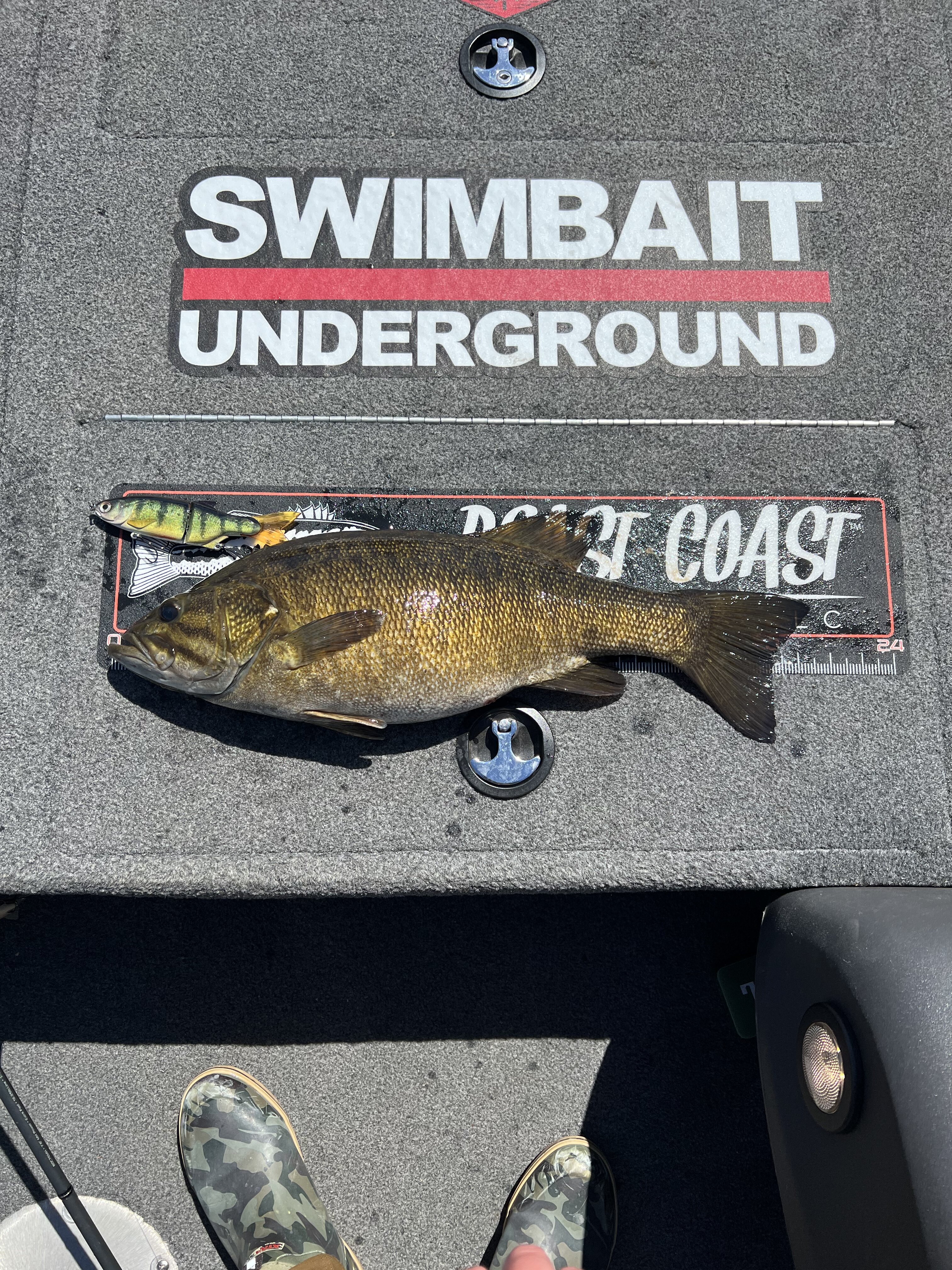 I'm looking for a good swimbait reel what would you recomend? - The  Underground - Swimbait Underground