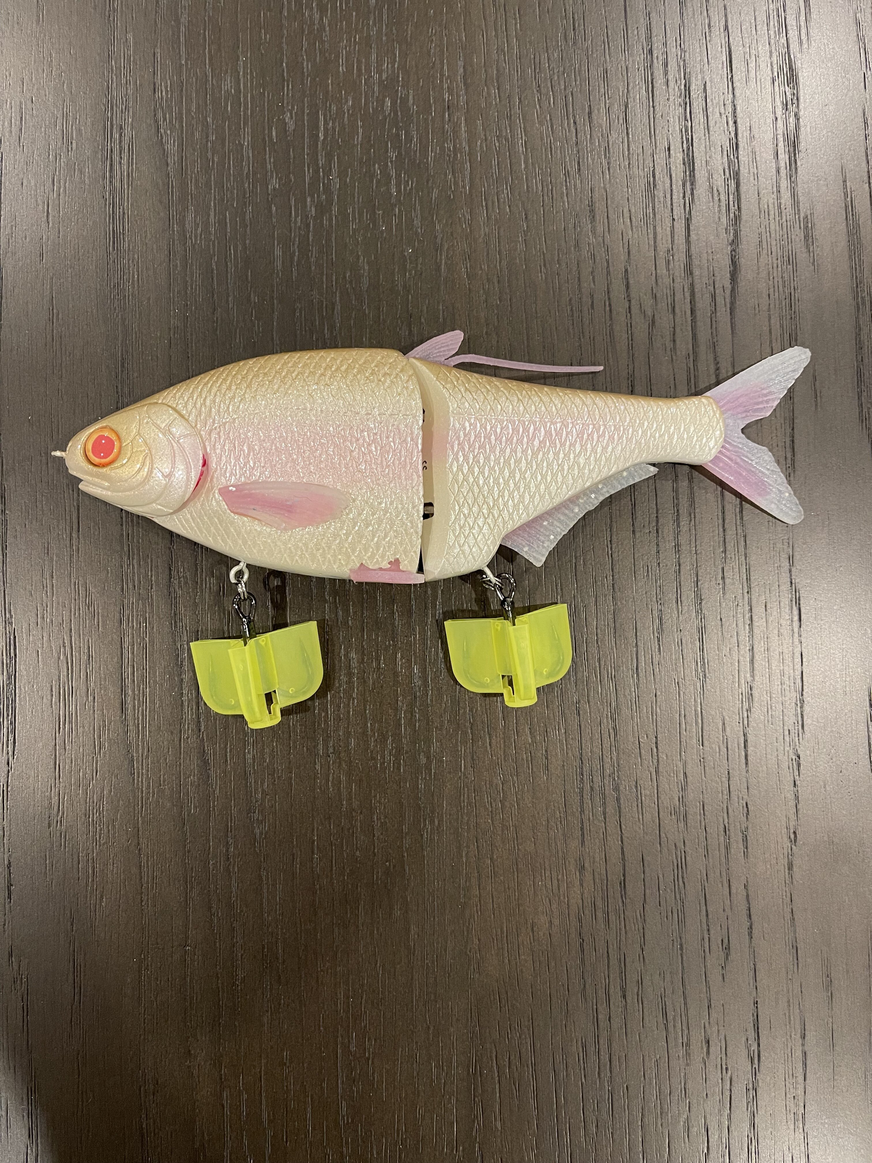 Albino Shad