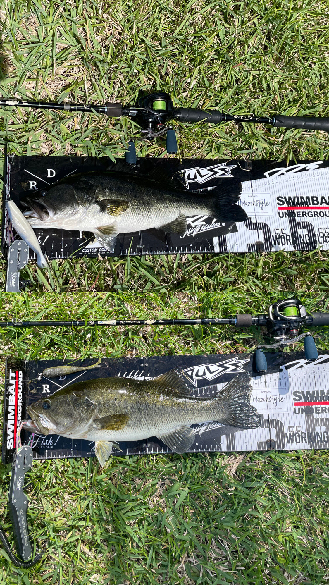 VTS7 & FAT CRAMP small tings - Got'em - Swimbait Underground