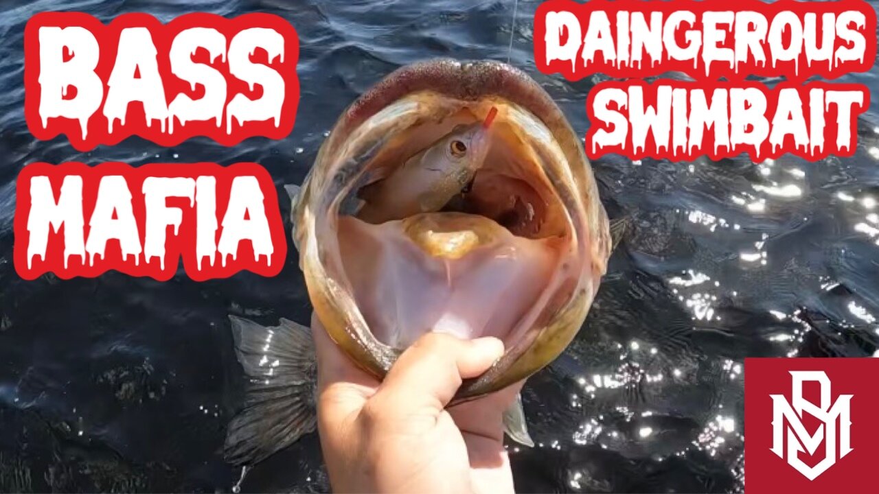 Bass Mafia Dangerous Swimbait - SUTV - Swimbait Underground