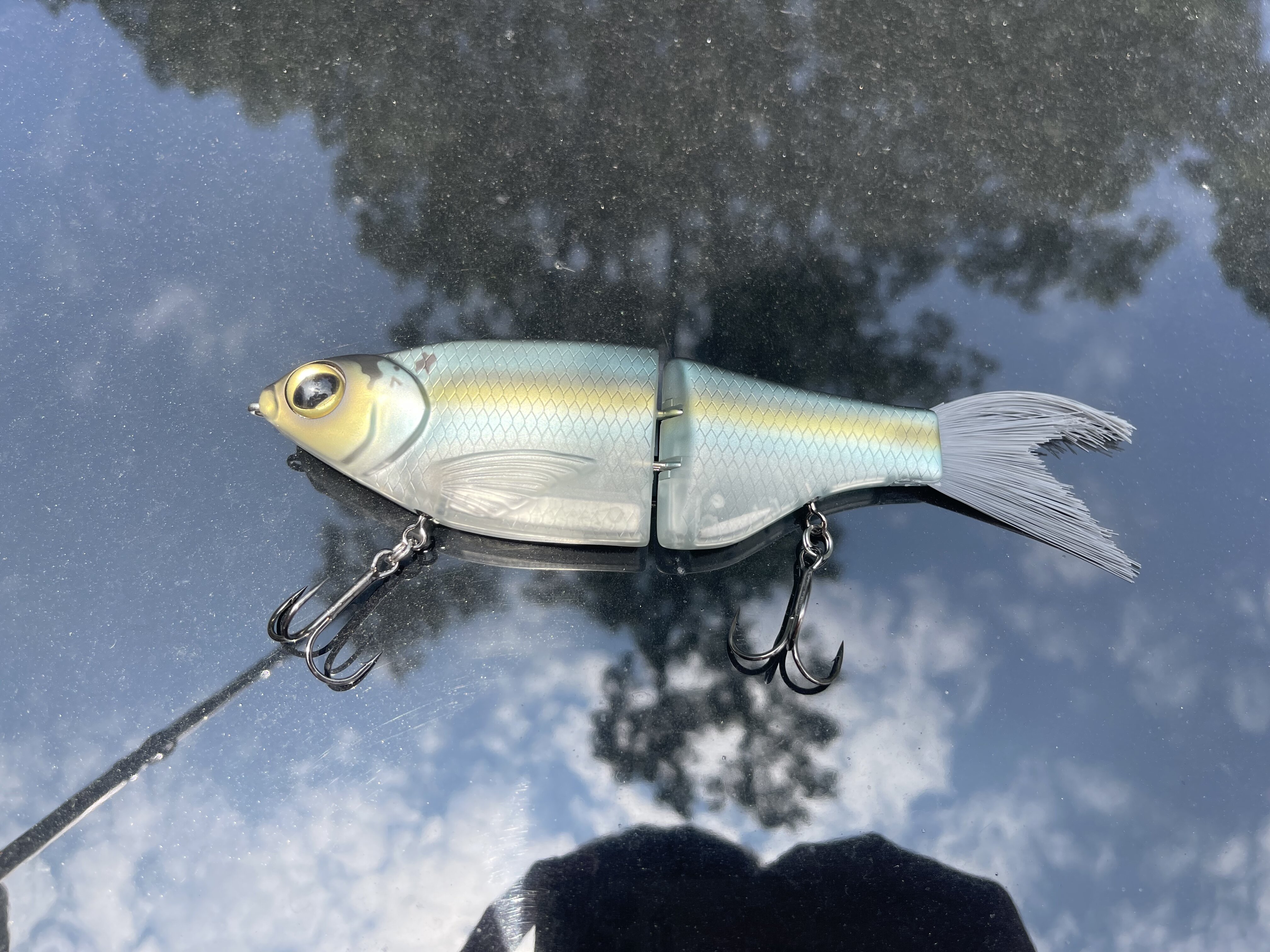 Is there a storage solution for swimbaits that protects the brush tail from  being bent? - Fishing Tackle - Bass Fishing Forums