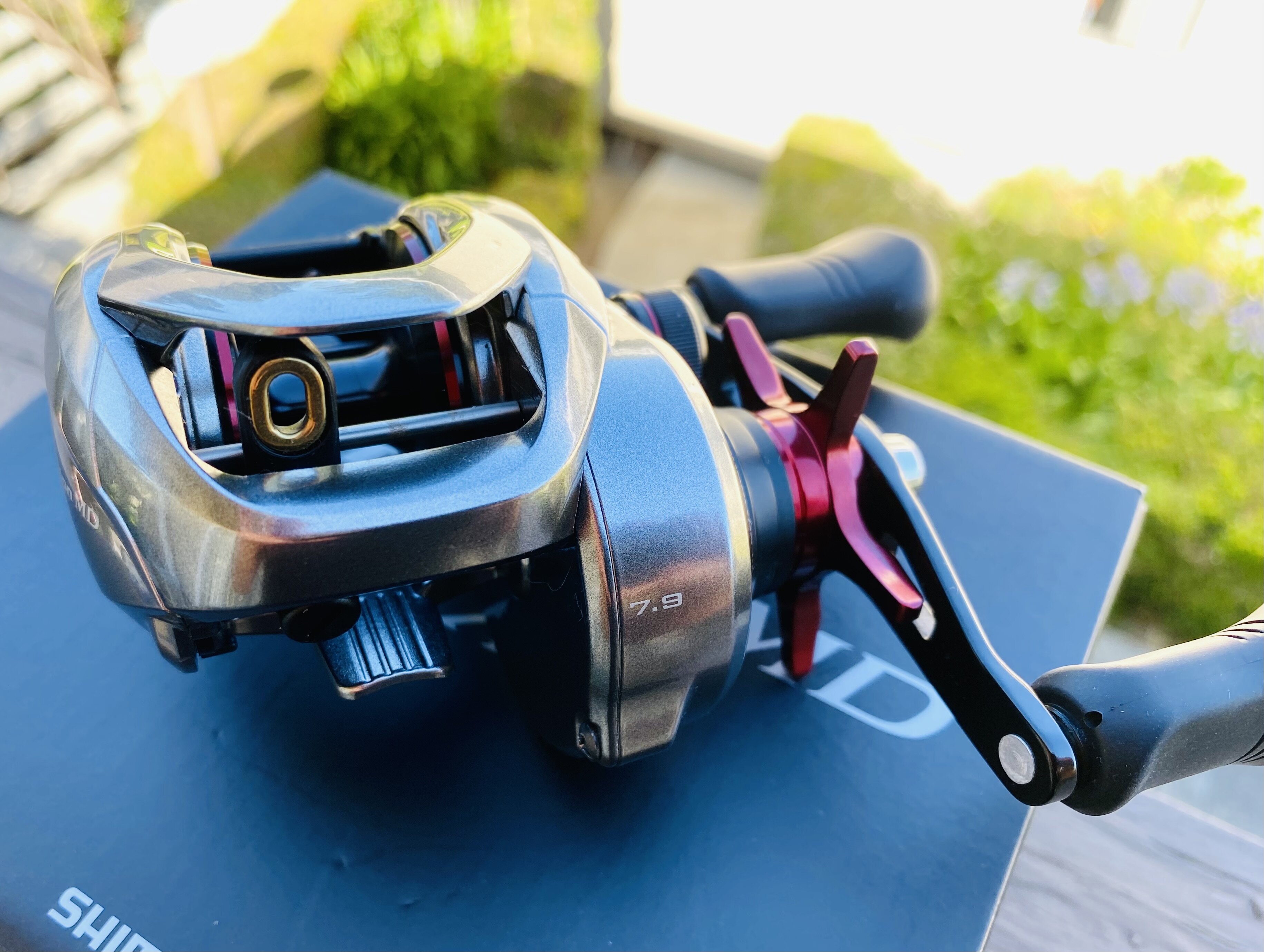 Shimano scorpion MD XG 301 - Black Market - Swimbait Underground