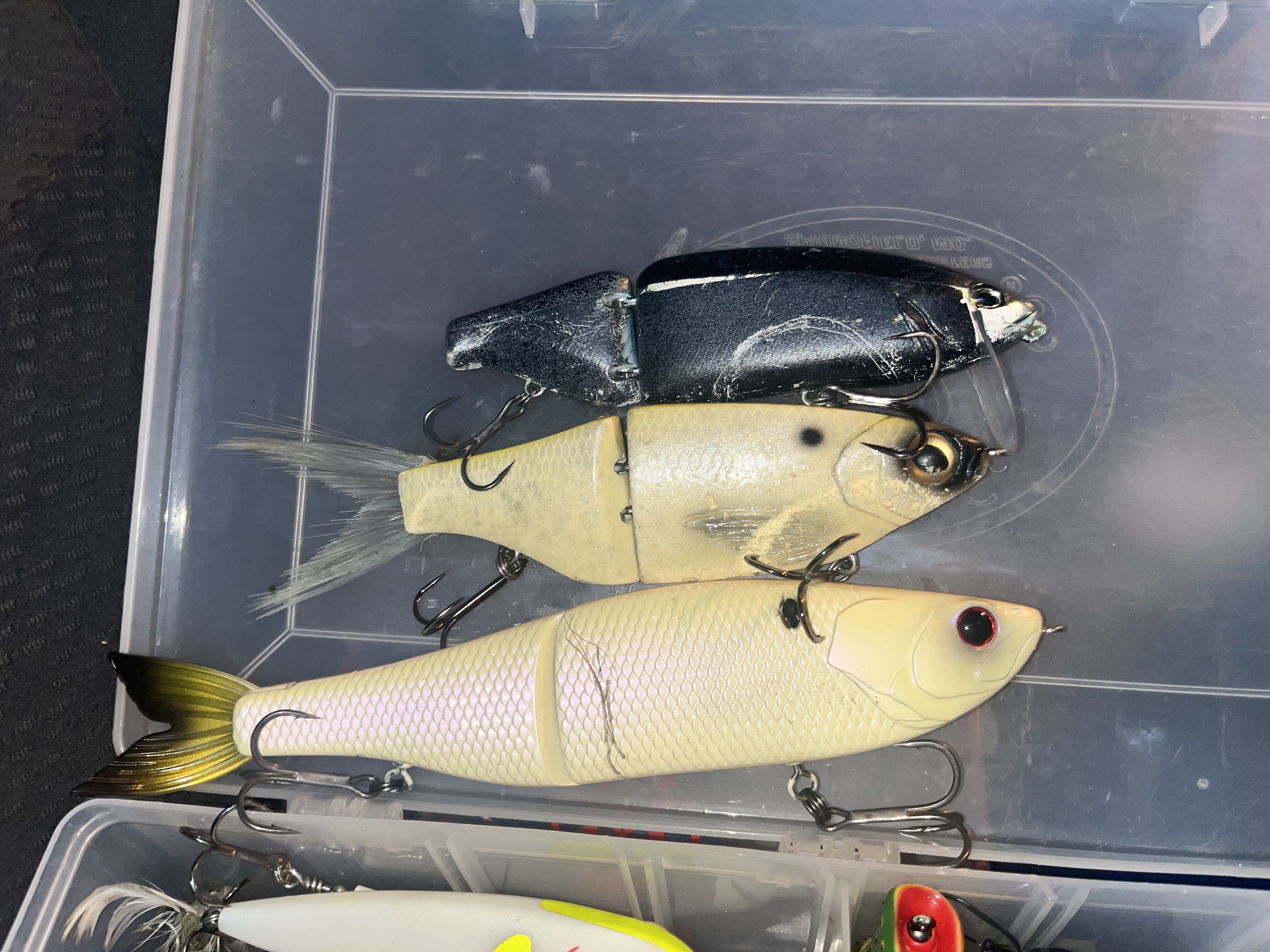 Chad shad - Black Market - Swimbait Underground