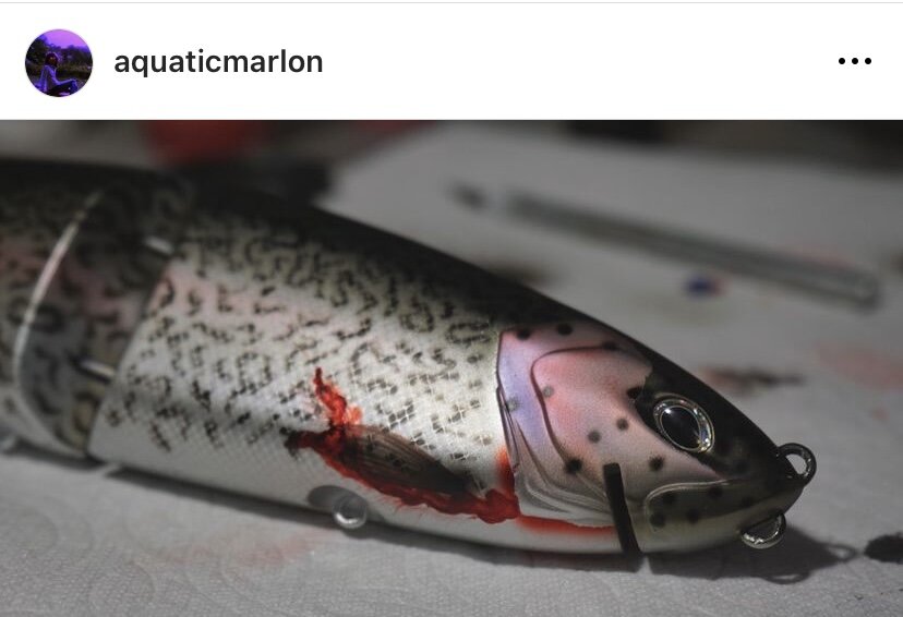 Custom Painted Trout Glide Swimbait