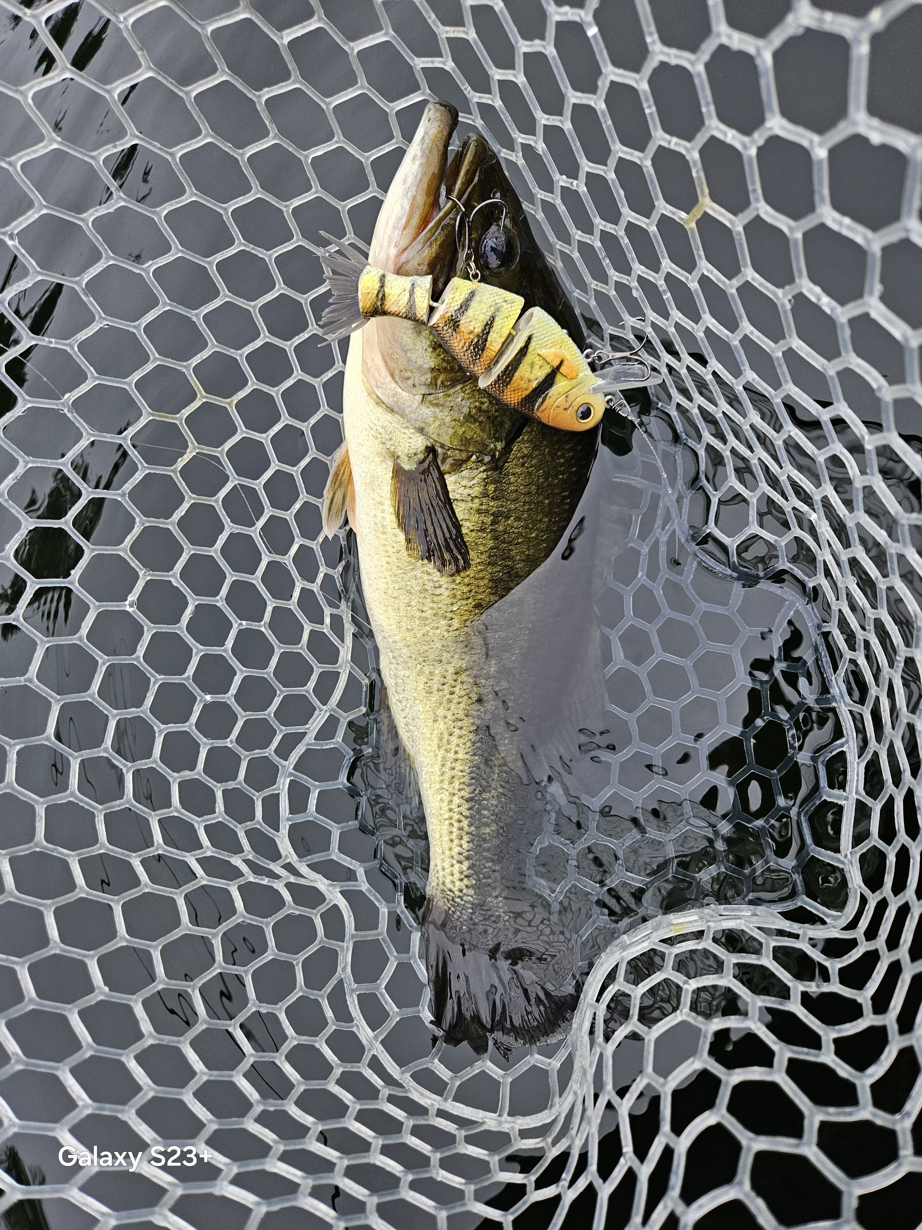Bullshad 4X4 Deep - Got'em - Swimbait Underground