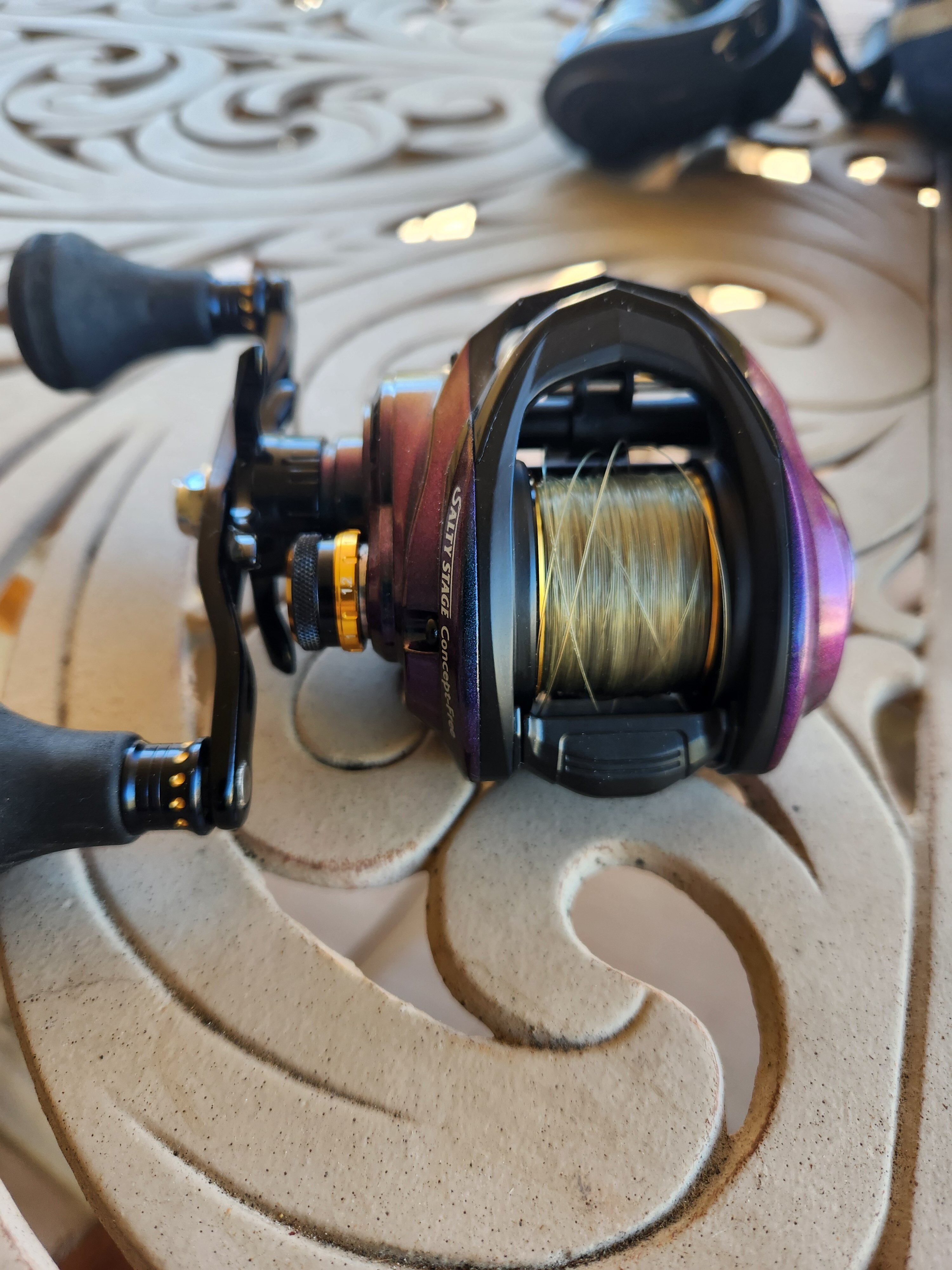 Abu Garcia jdm Salty Stage Concept Free (200size) - Black Market