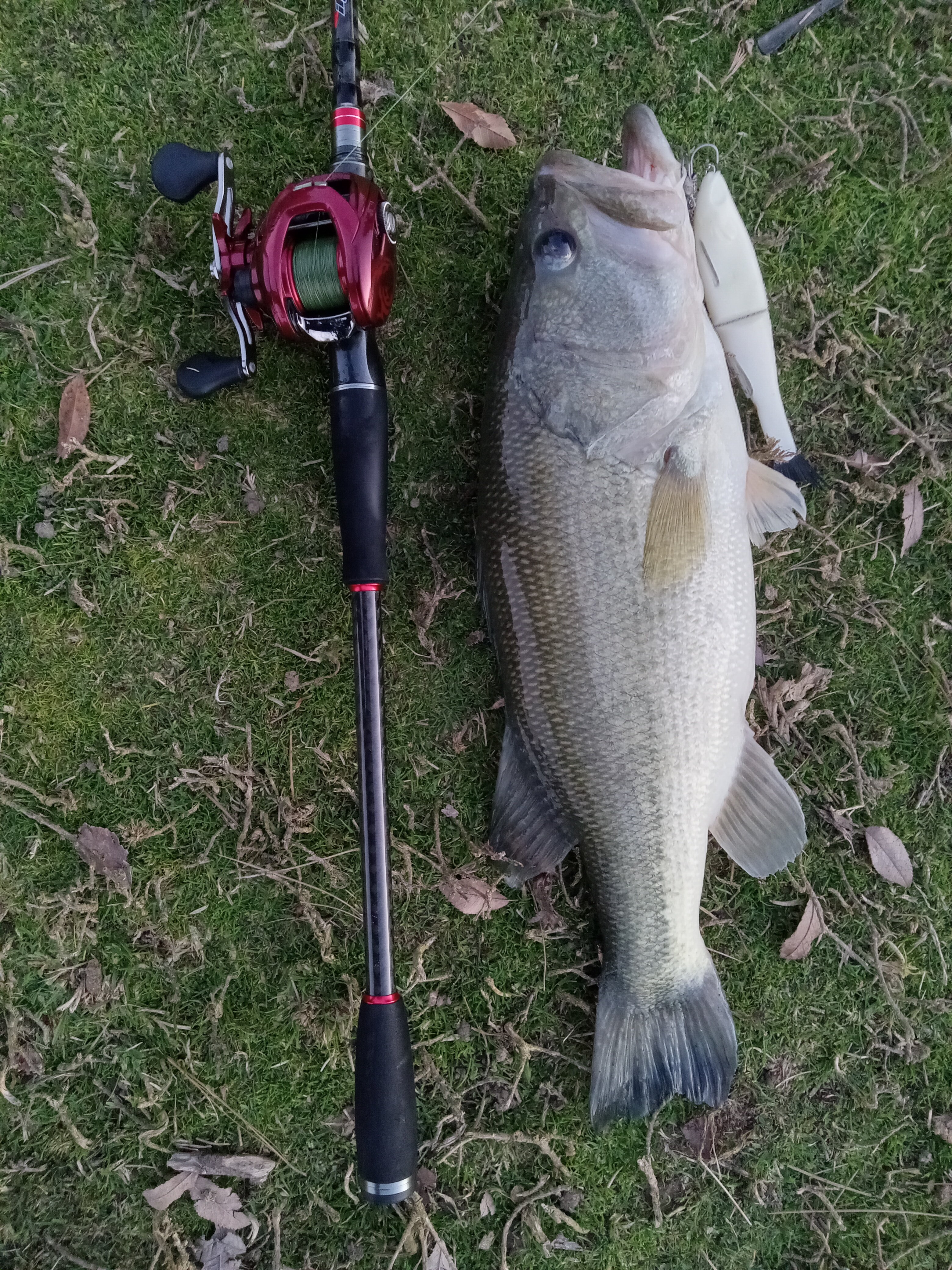 1-2 oz rods - The Underground - Swimbait Underground 1-2 oz rods - The Underground - Swimbait Underground