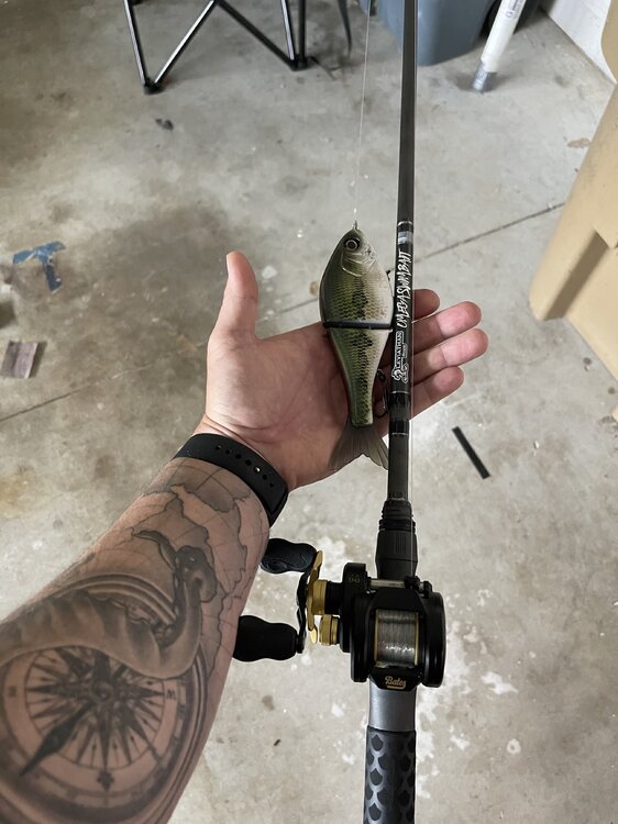 Show Off Your Swimbait Setup - Page 27 - The Underground