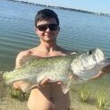 FLsharkman