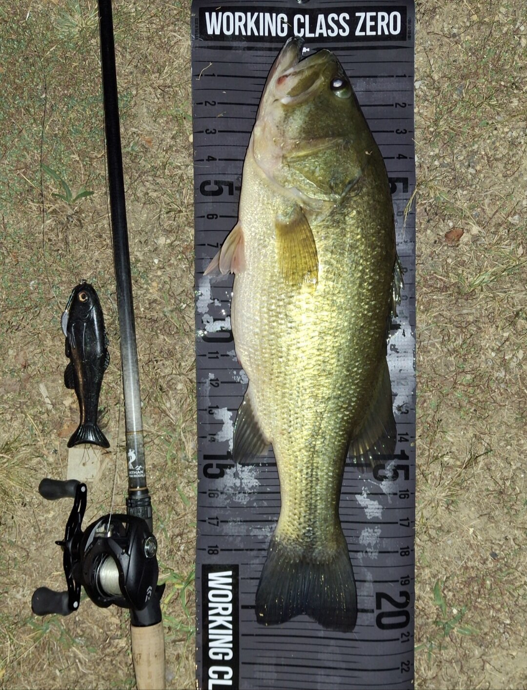 West Coast Roma - Got'em - Swimbait Underground