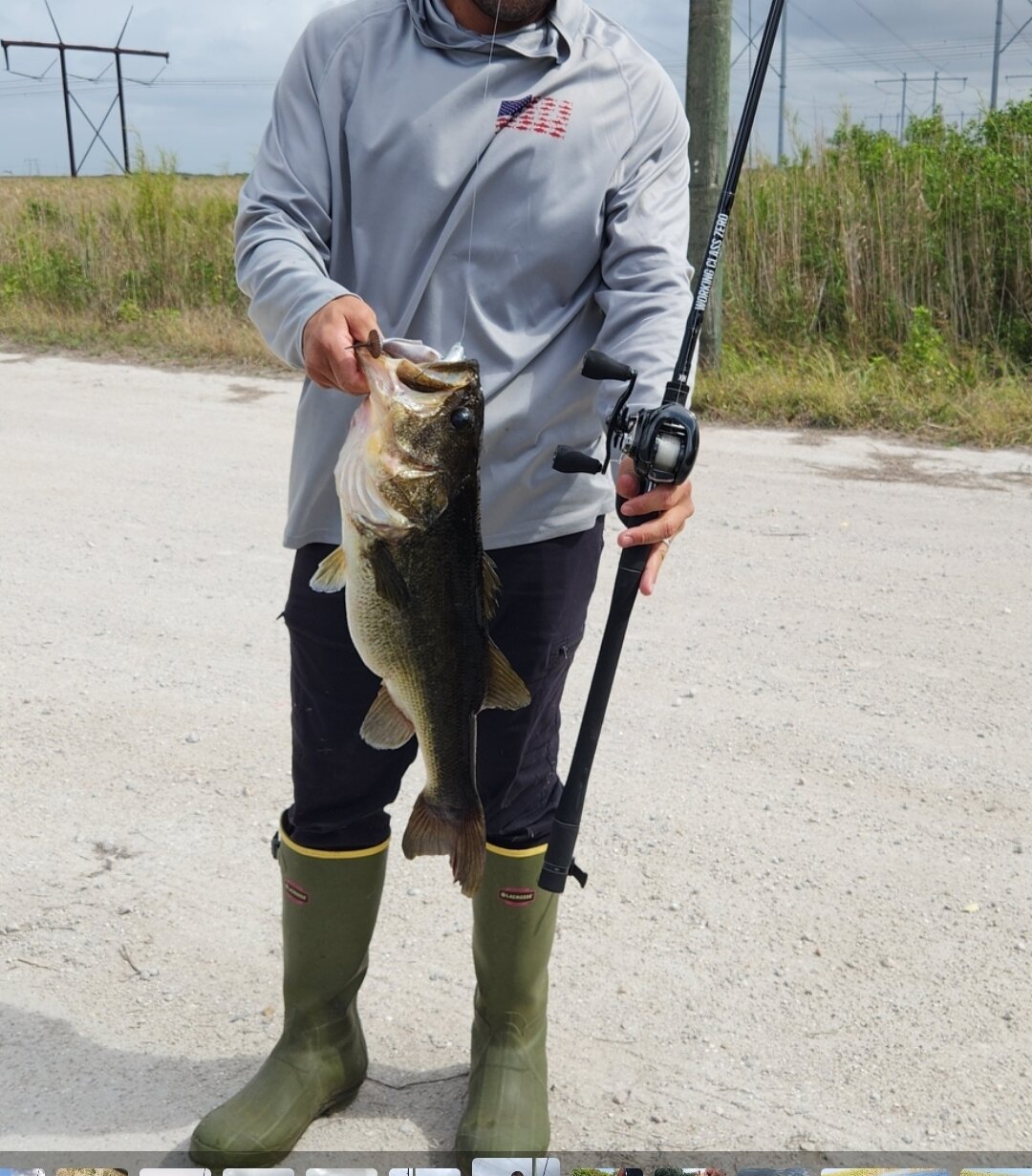 Form 1 Rods or better options - The Underground - Swimbait Underground