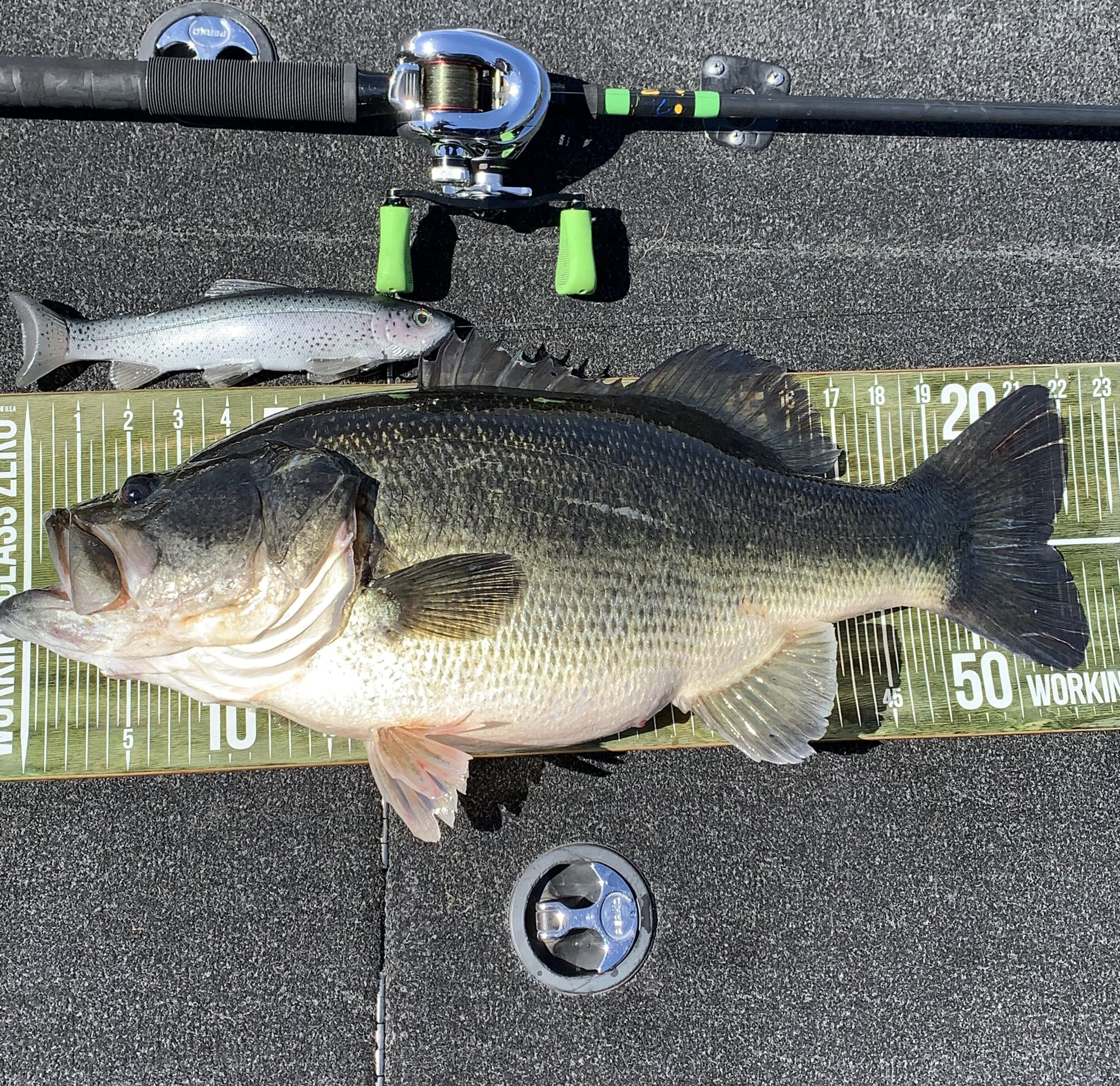Form 1 Rods or better options - The Underground - Swimbait Underground