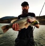 Appât de bain Hinkle Shad par Andrew Hinkle ! Vends collection