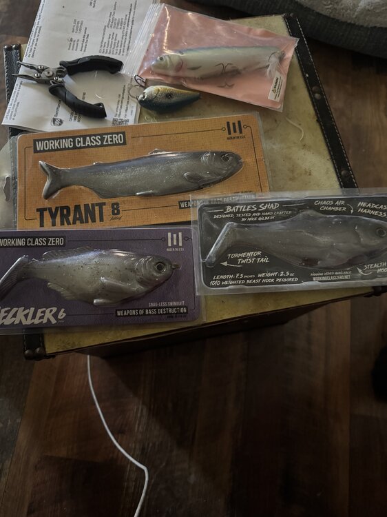 WCZ lot tyrant 8 battle Shad Heckler - Black Market - Swimbait