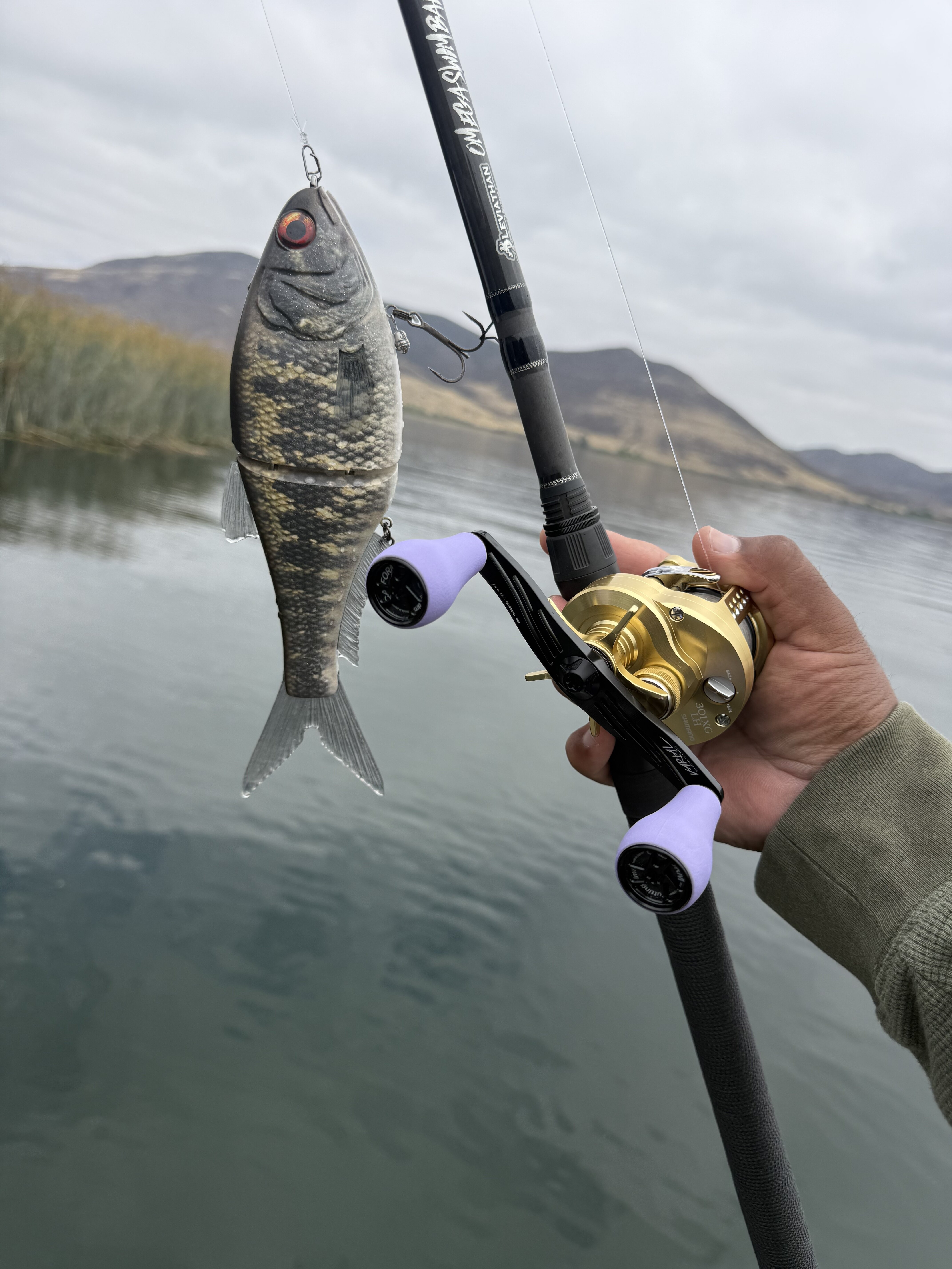 86 baits Andromeda Darko - Black Market - Swimbait Underground