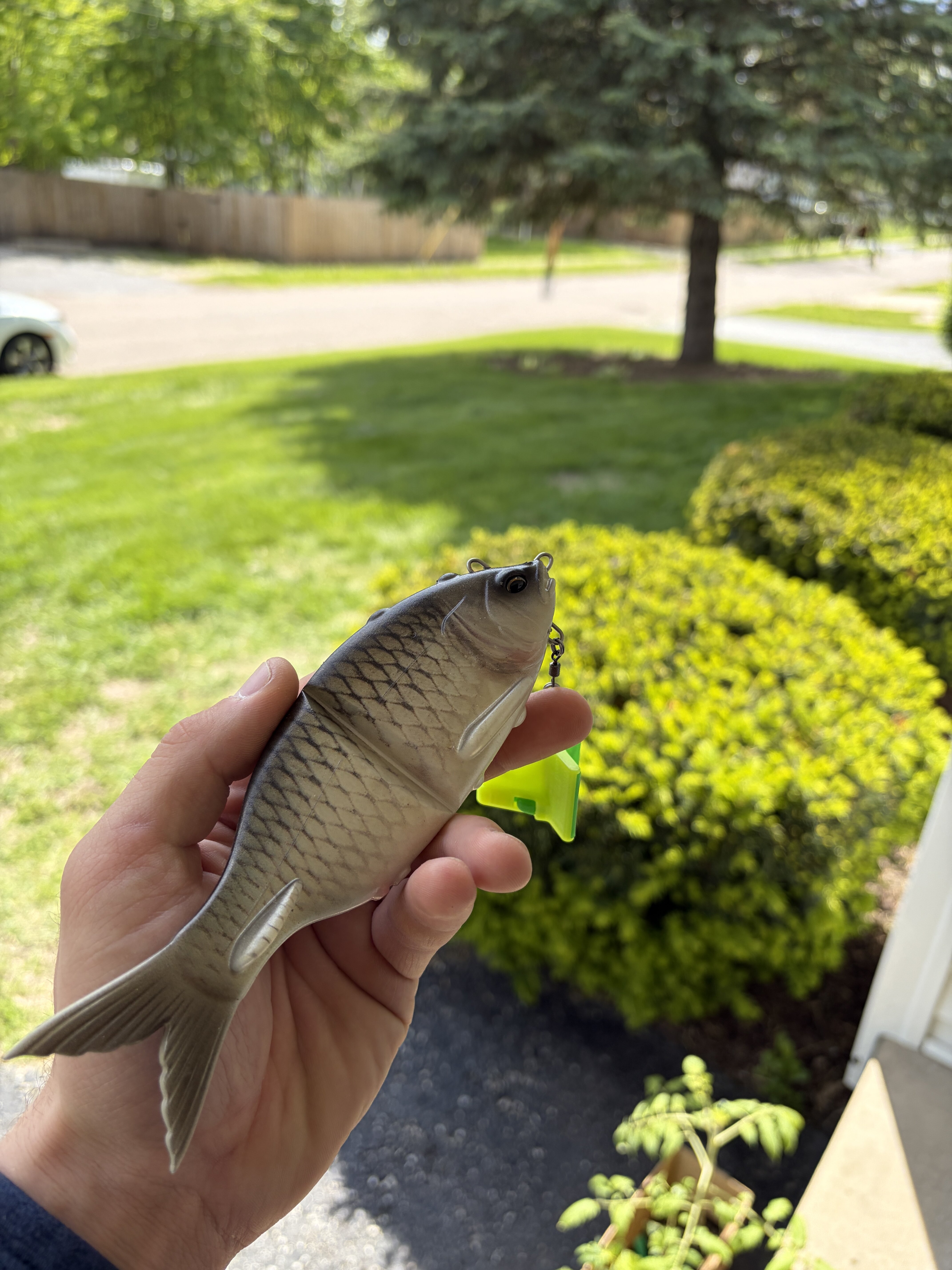G Flag 175 - Black Market - Swimbait Underground